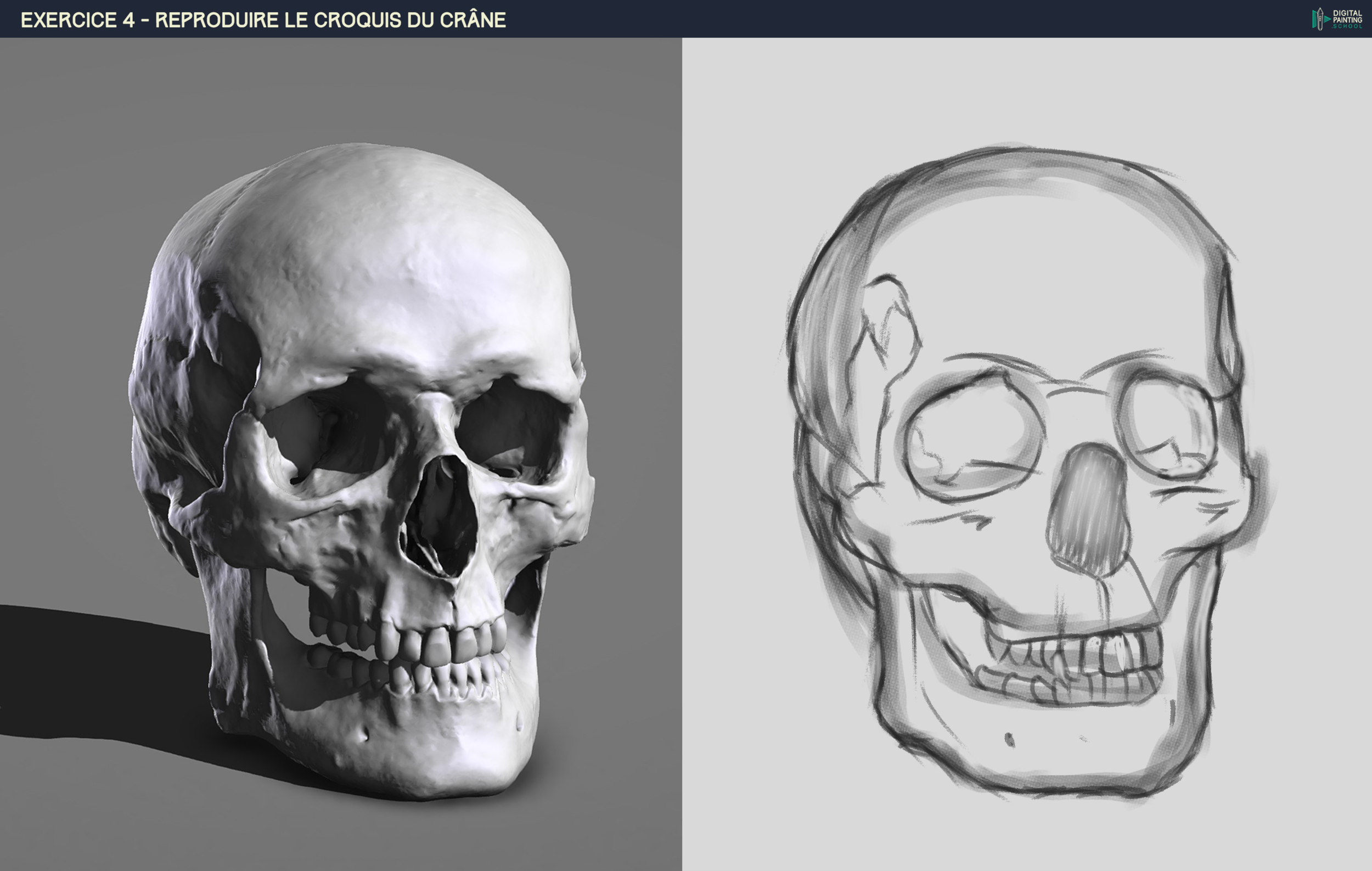 crane-croquis 1 BROUILLON.png