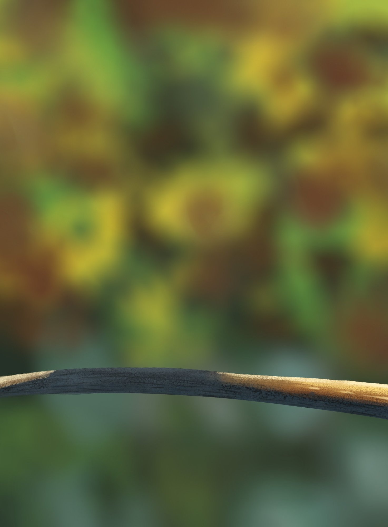 oisillons test 2.jpg