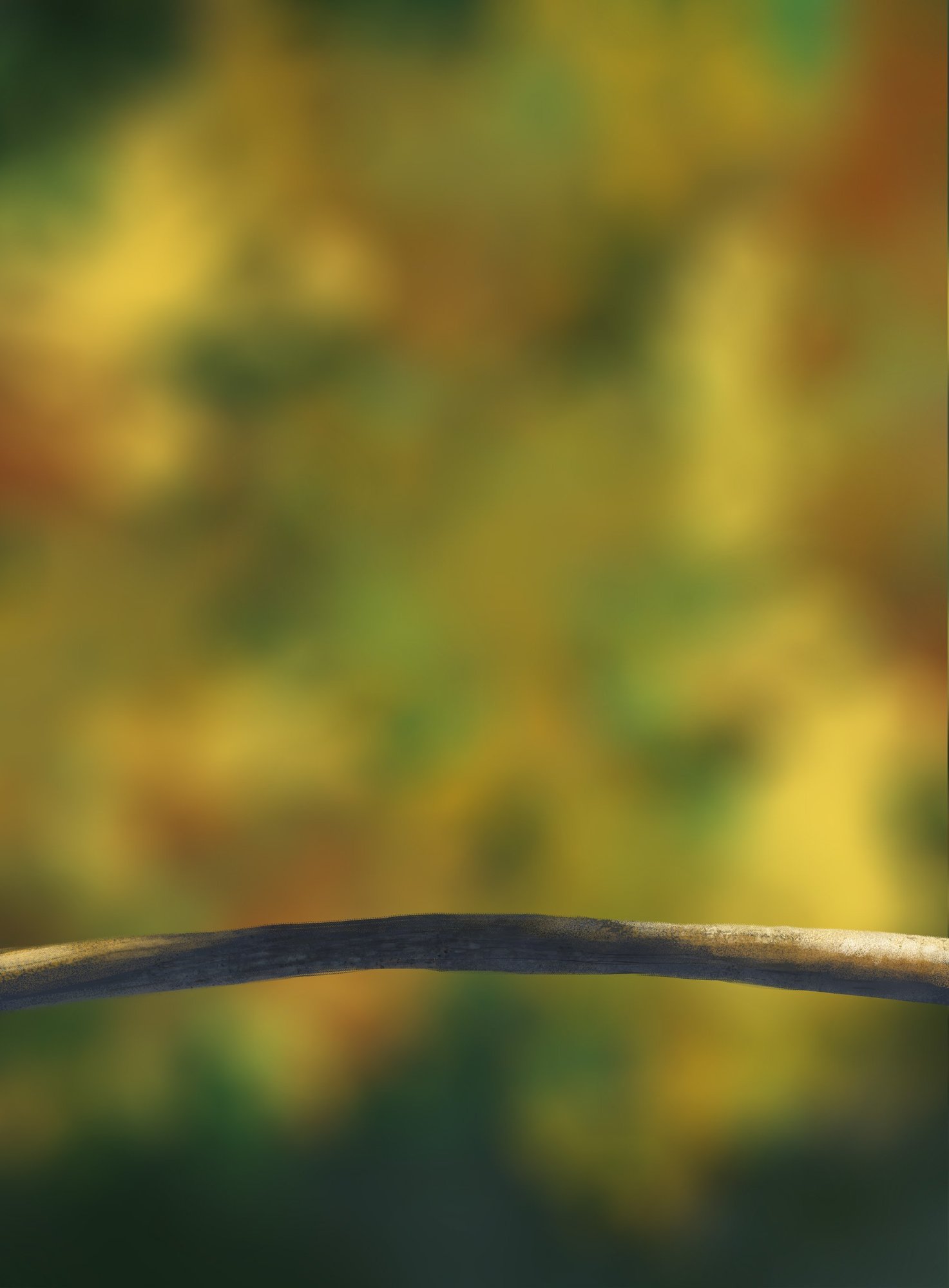 DPS Prog-1-1-Exercice5-Oiseau-Commencement02 CORR.jpg