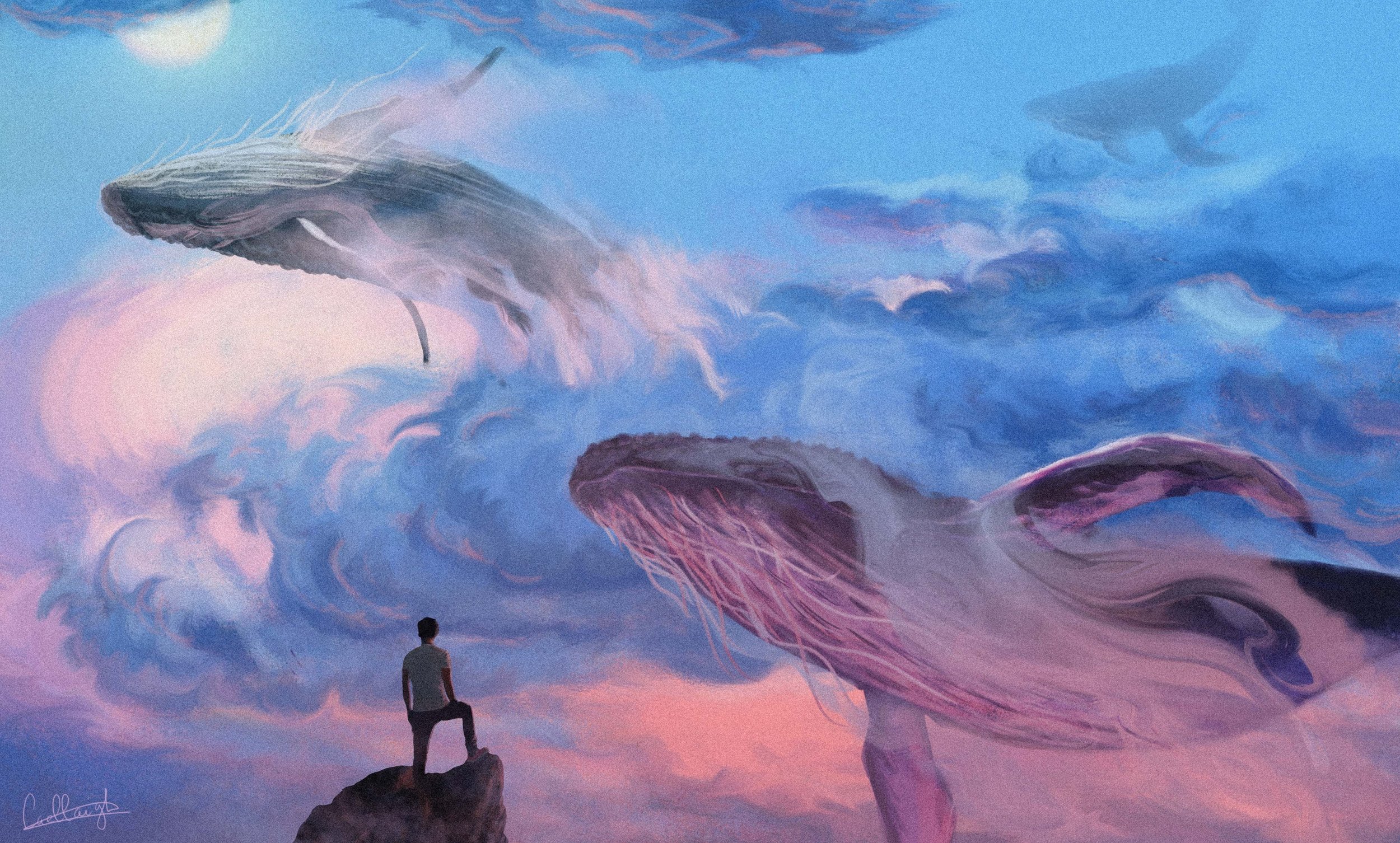 Whales migration copie.jpg