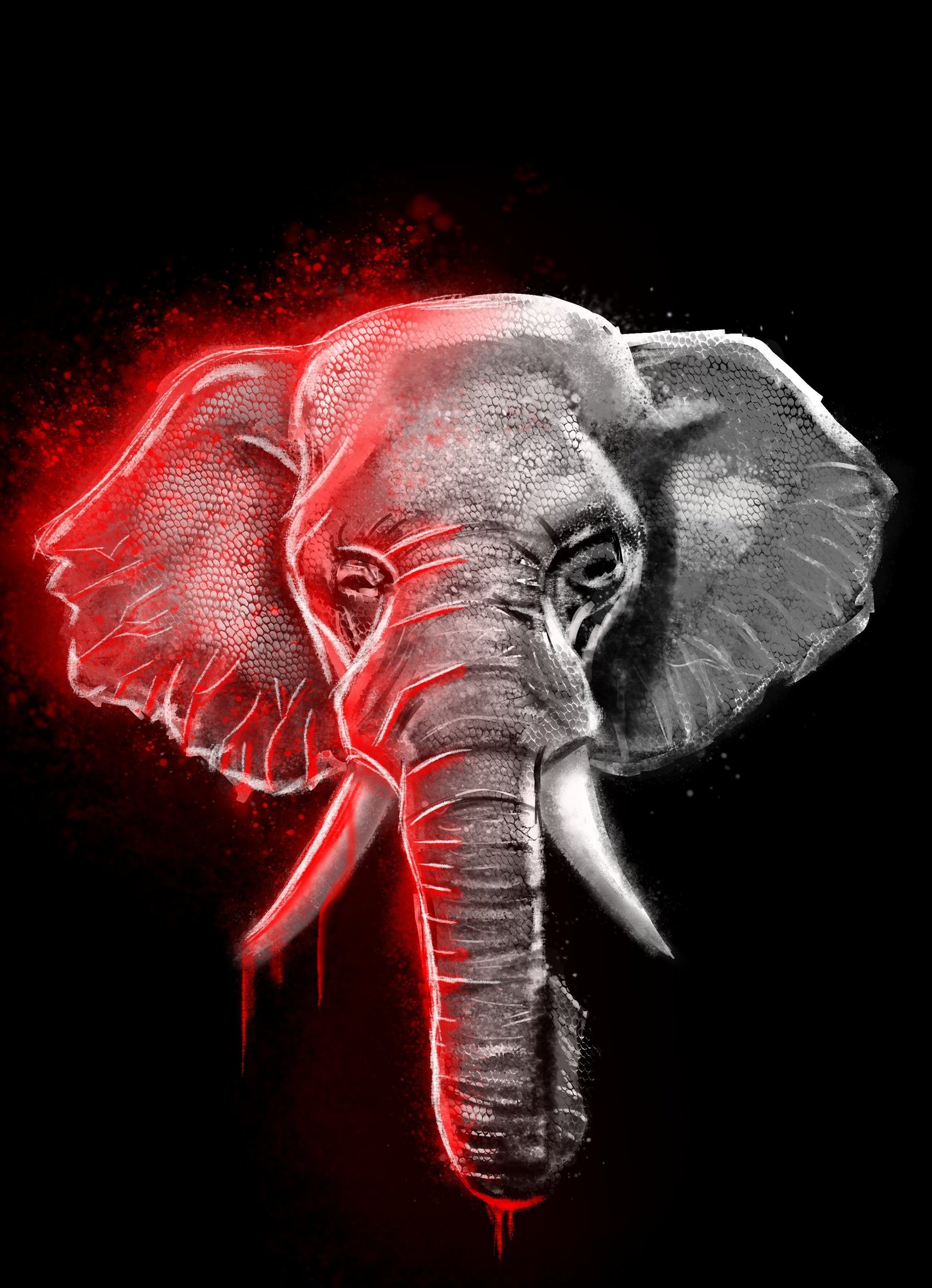 elephant v1.jpg
