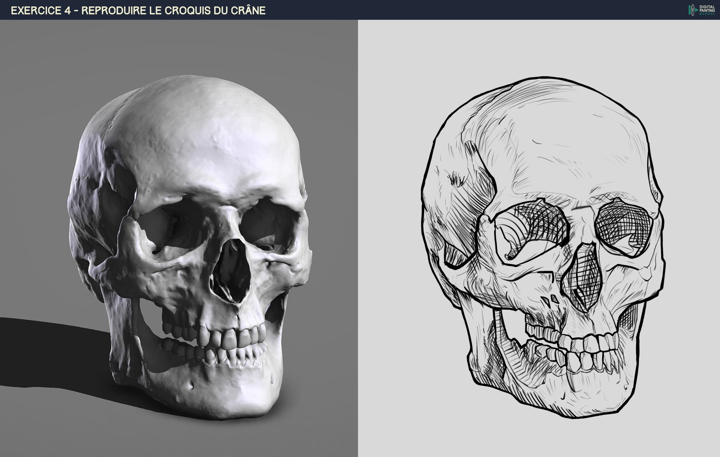 DPS-Prog-1-2-2-démo-crane-croquis copie 2.jpg