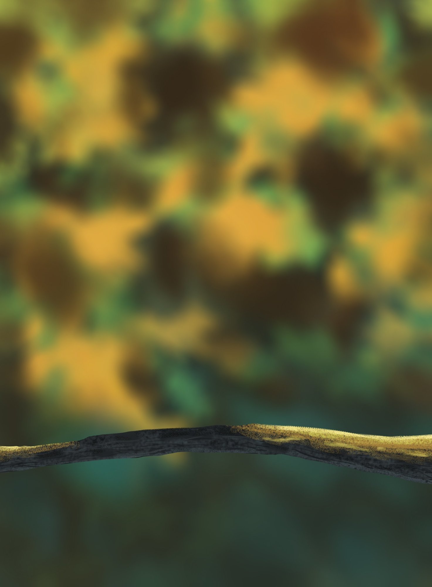 DPS Prog-1-1-Exercice5-Oiseau-Commencement.jpg