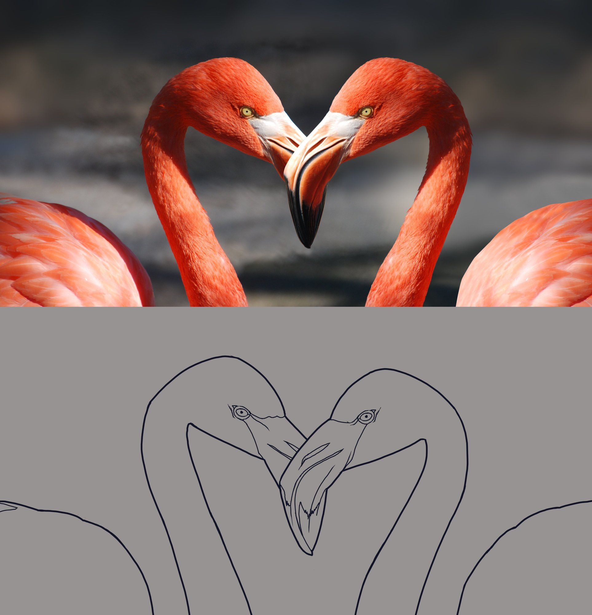 flamingo copie.jpg