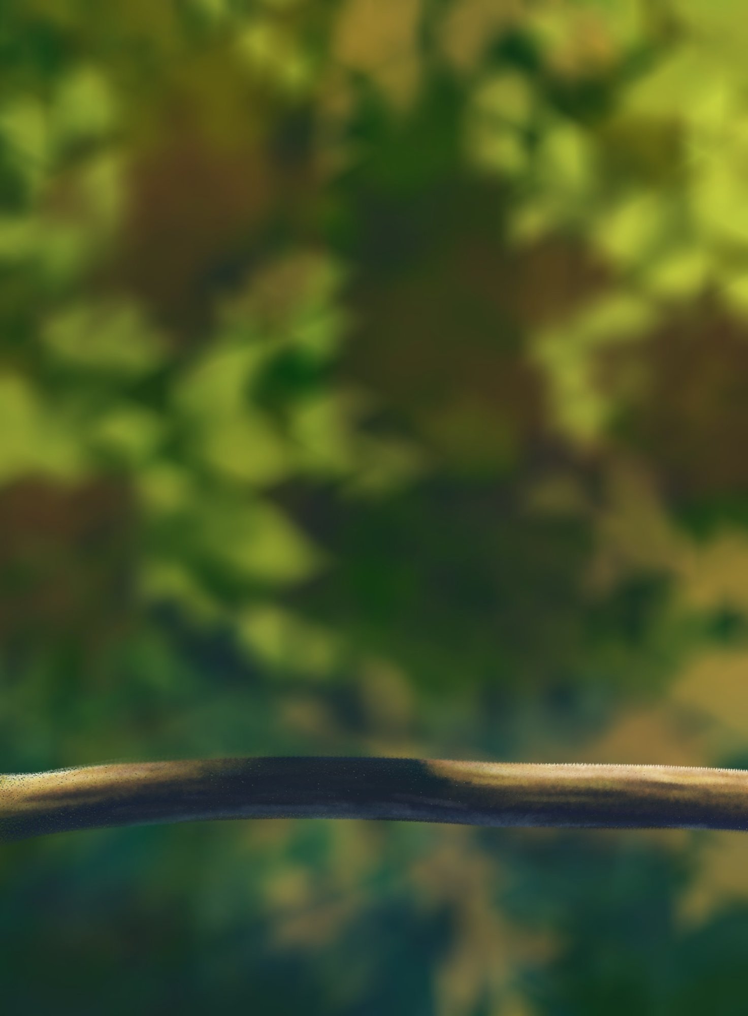 exercice oisillons.jpg