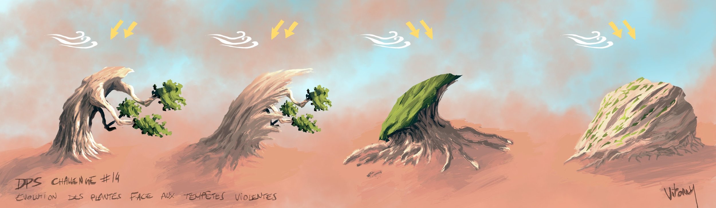 plantes désert 01.jpg