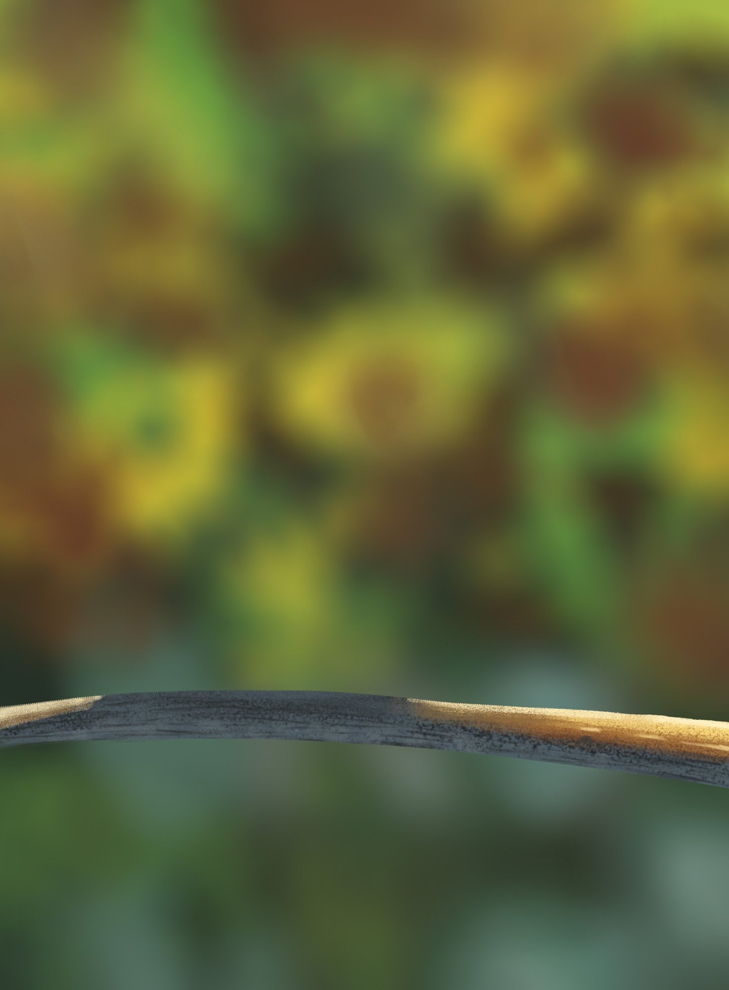 oisillons test 1.jpg