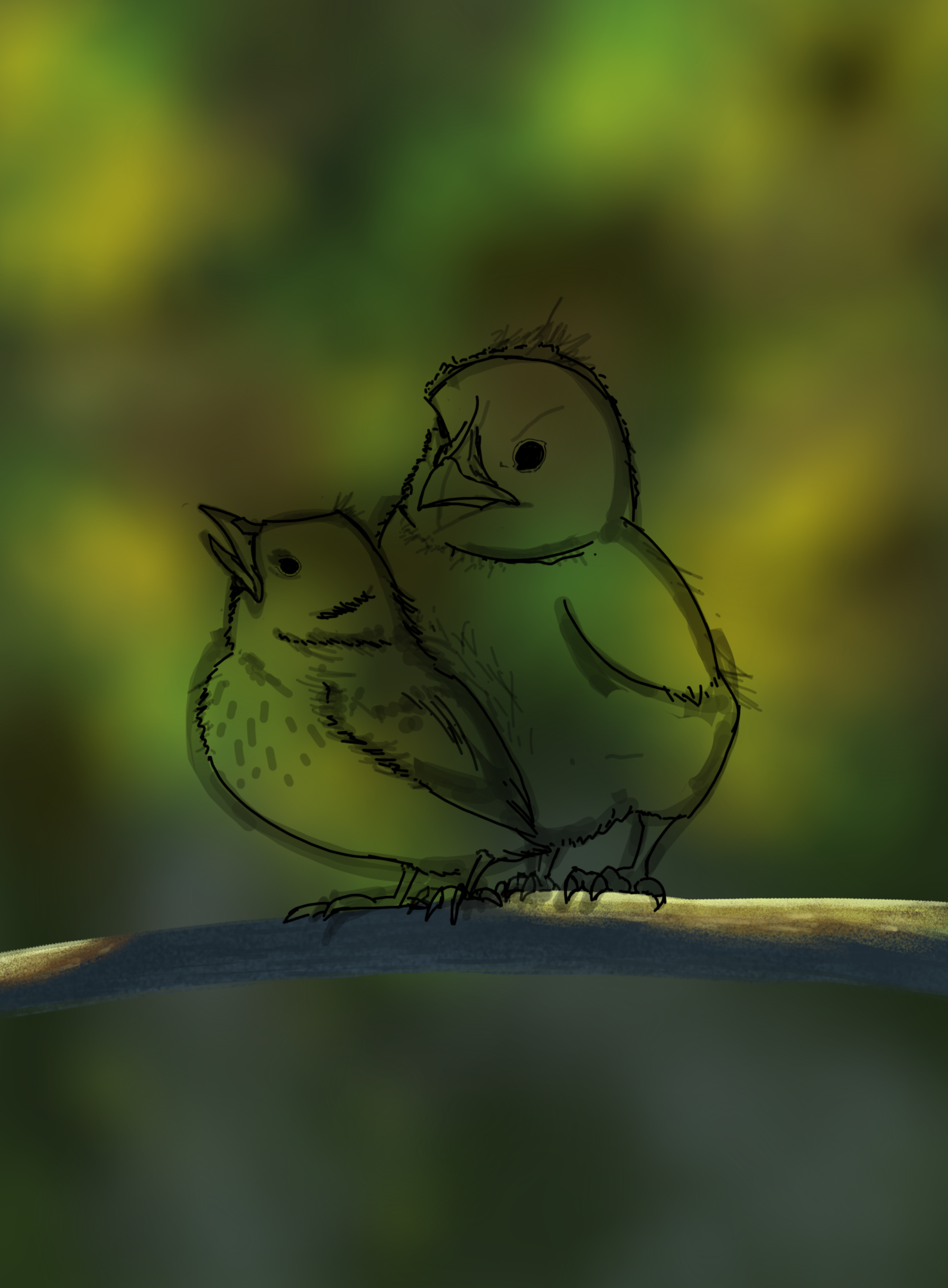 dps-prog-1-1-exercice5-oiseaux baptiste.png