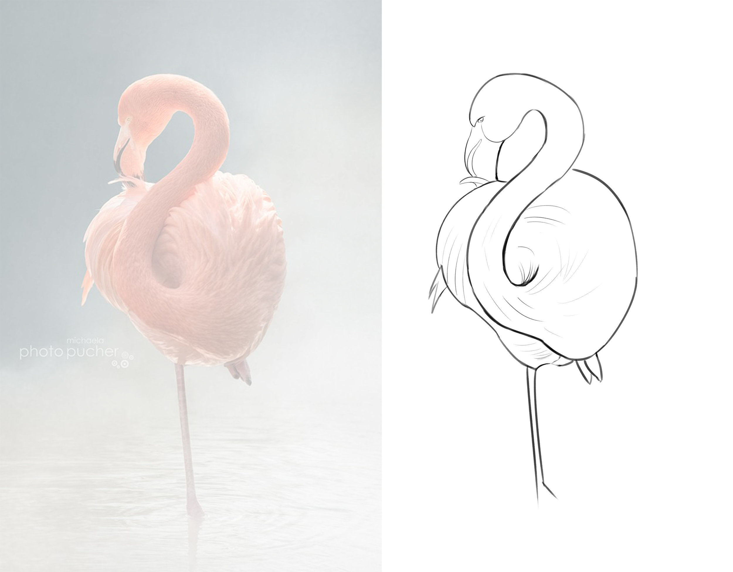 flamand version 2.jpg