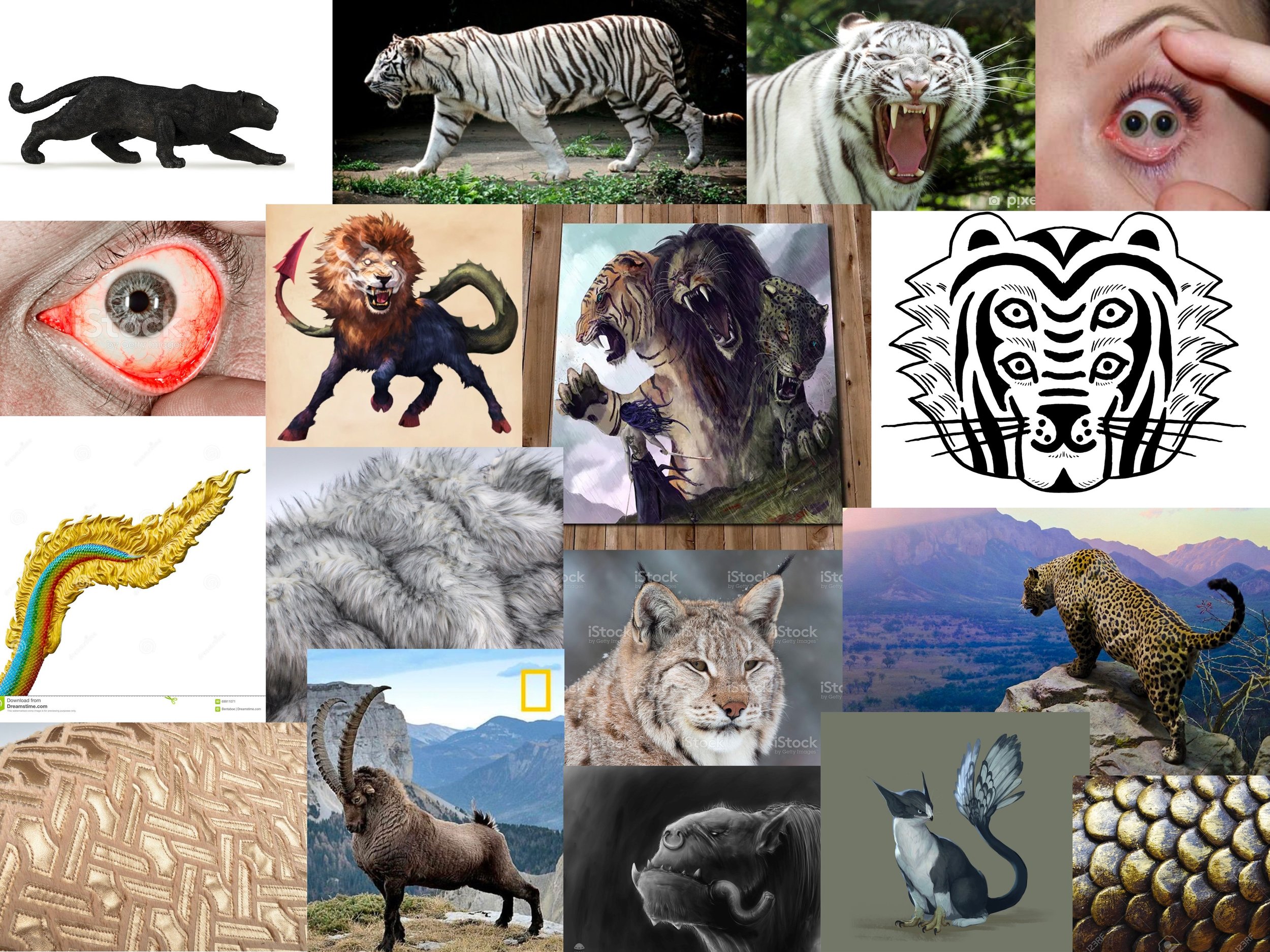 planche d'inspi FAUVARD.jpg