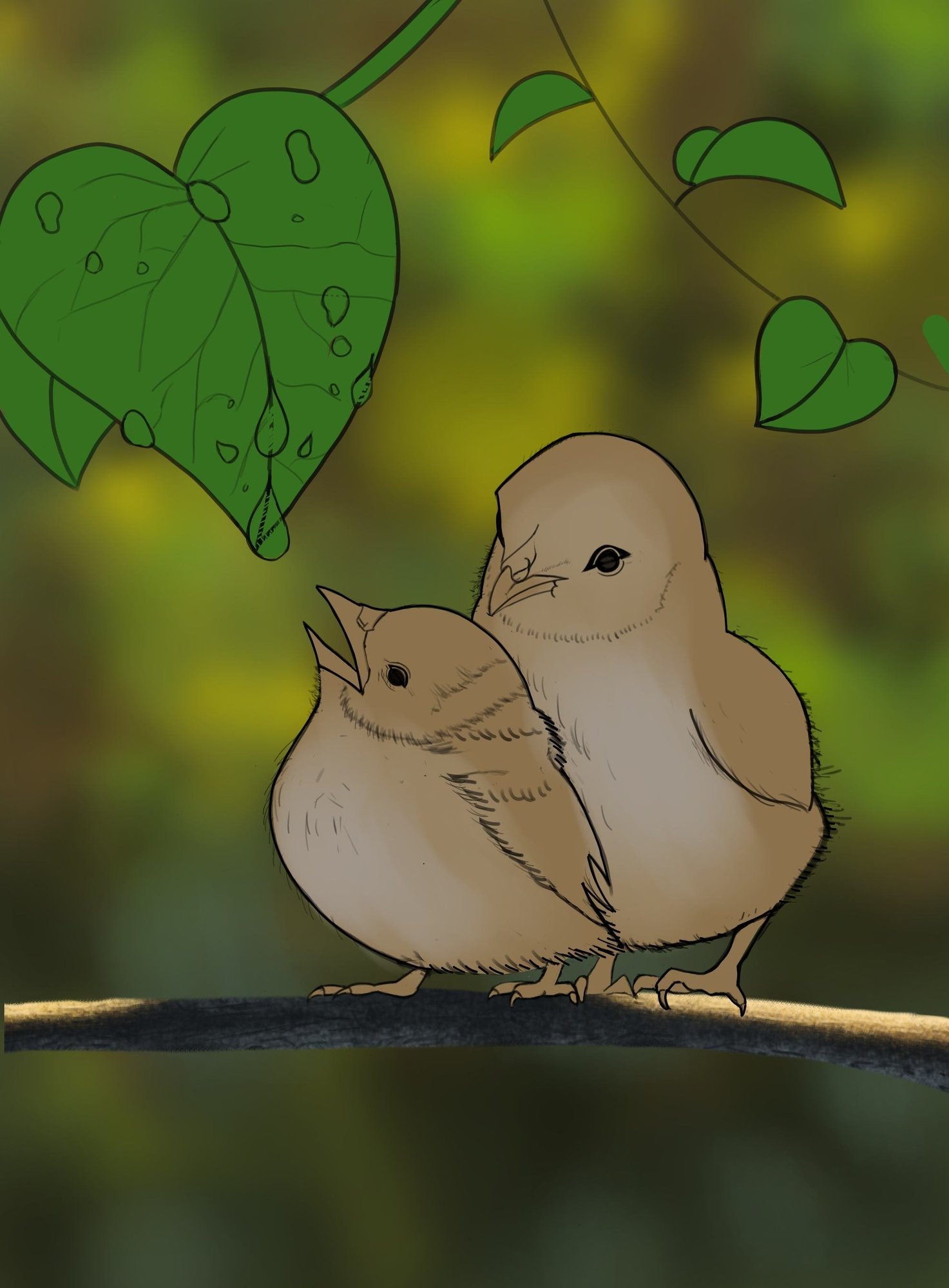 oisillon  correction 1.jpg