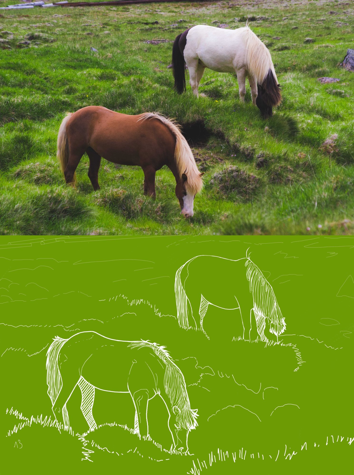 chevaux.jpg