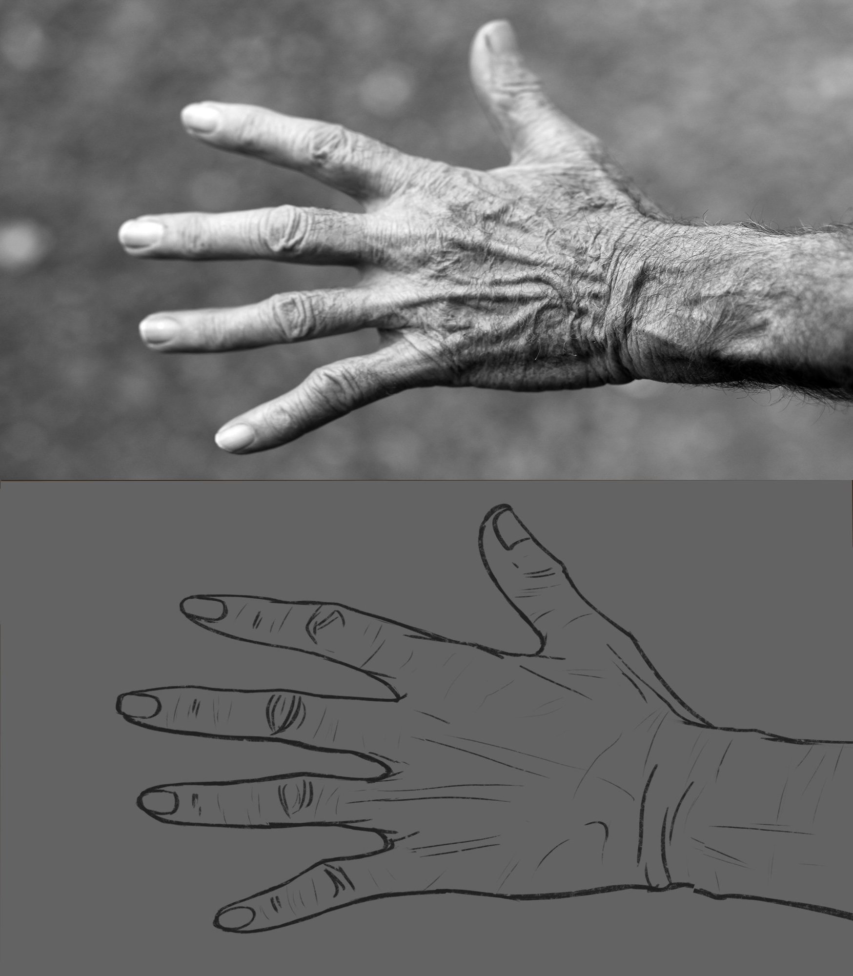hand-elderly-woman-wrinkles.jpg