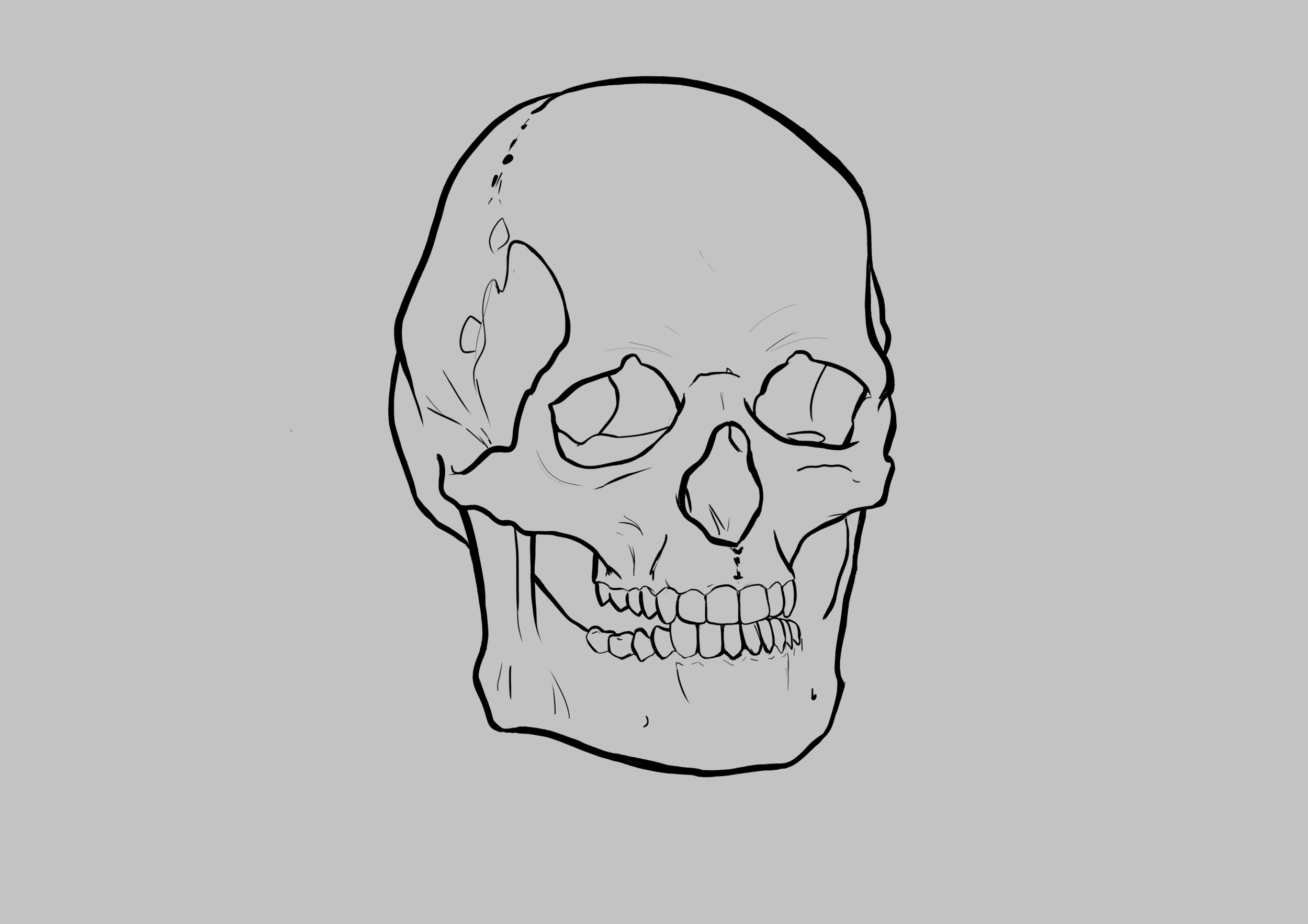 skull_v1.png