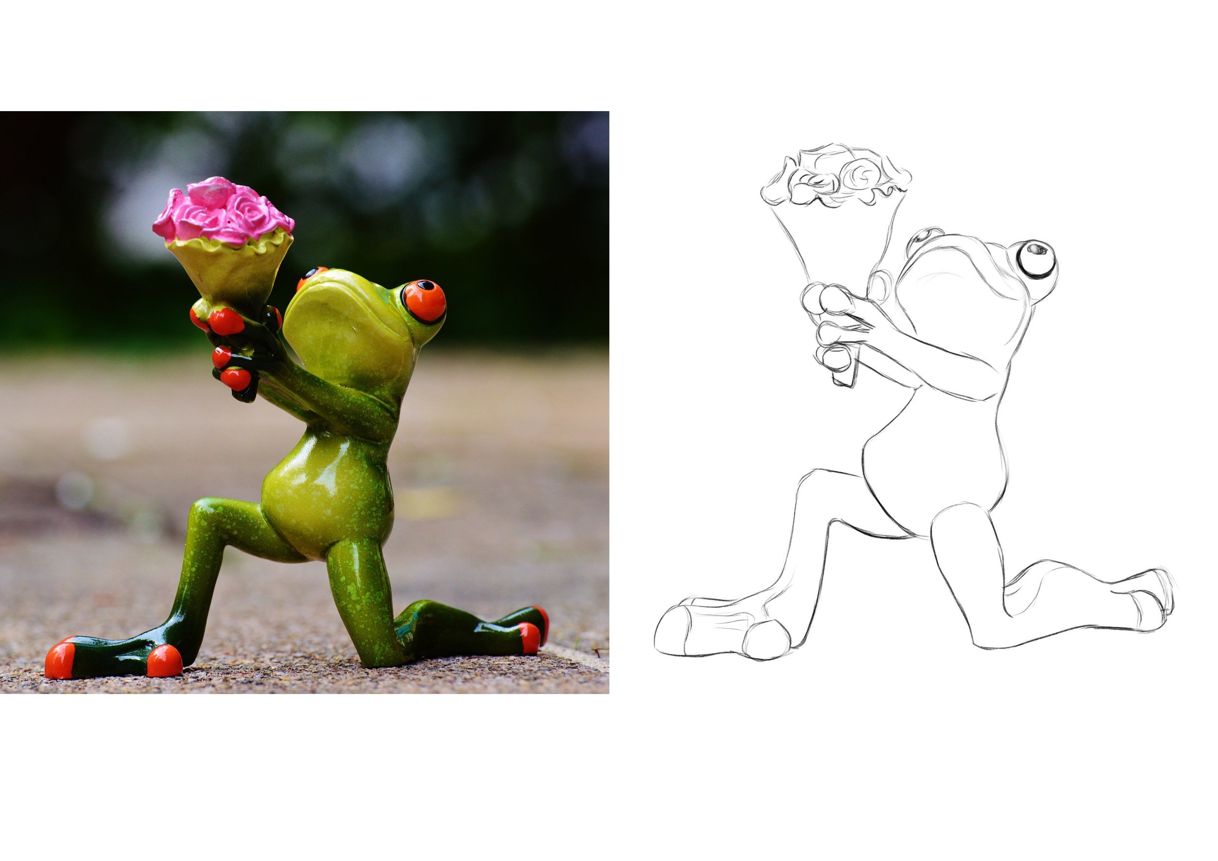 exercice 5 grenouille 2.jpg