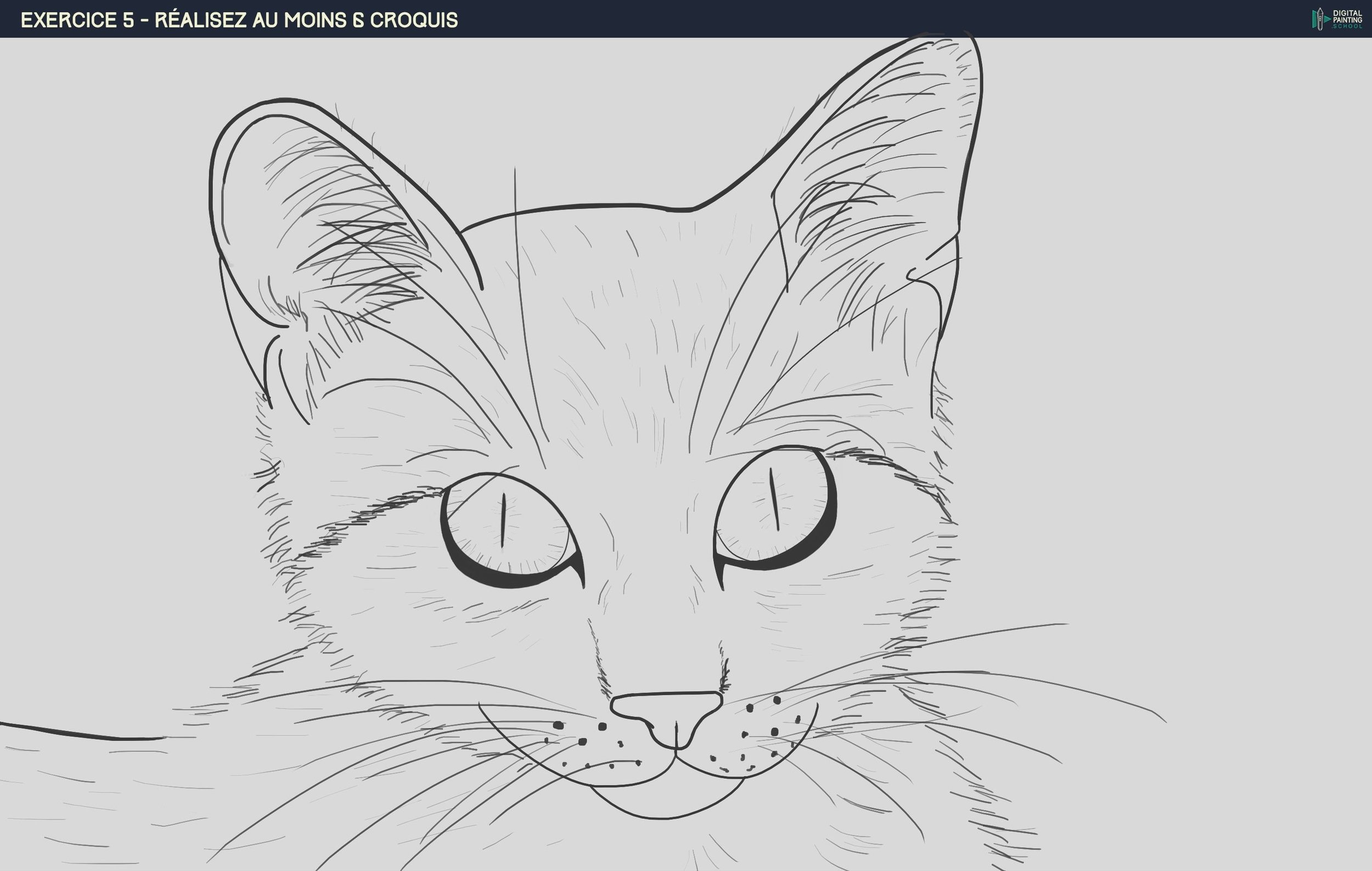 1346458777_Exercice5chat.thumb.jpg.b5bacc335cf33ce75f34258049897da1.jpg