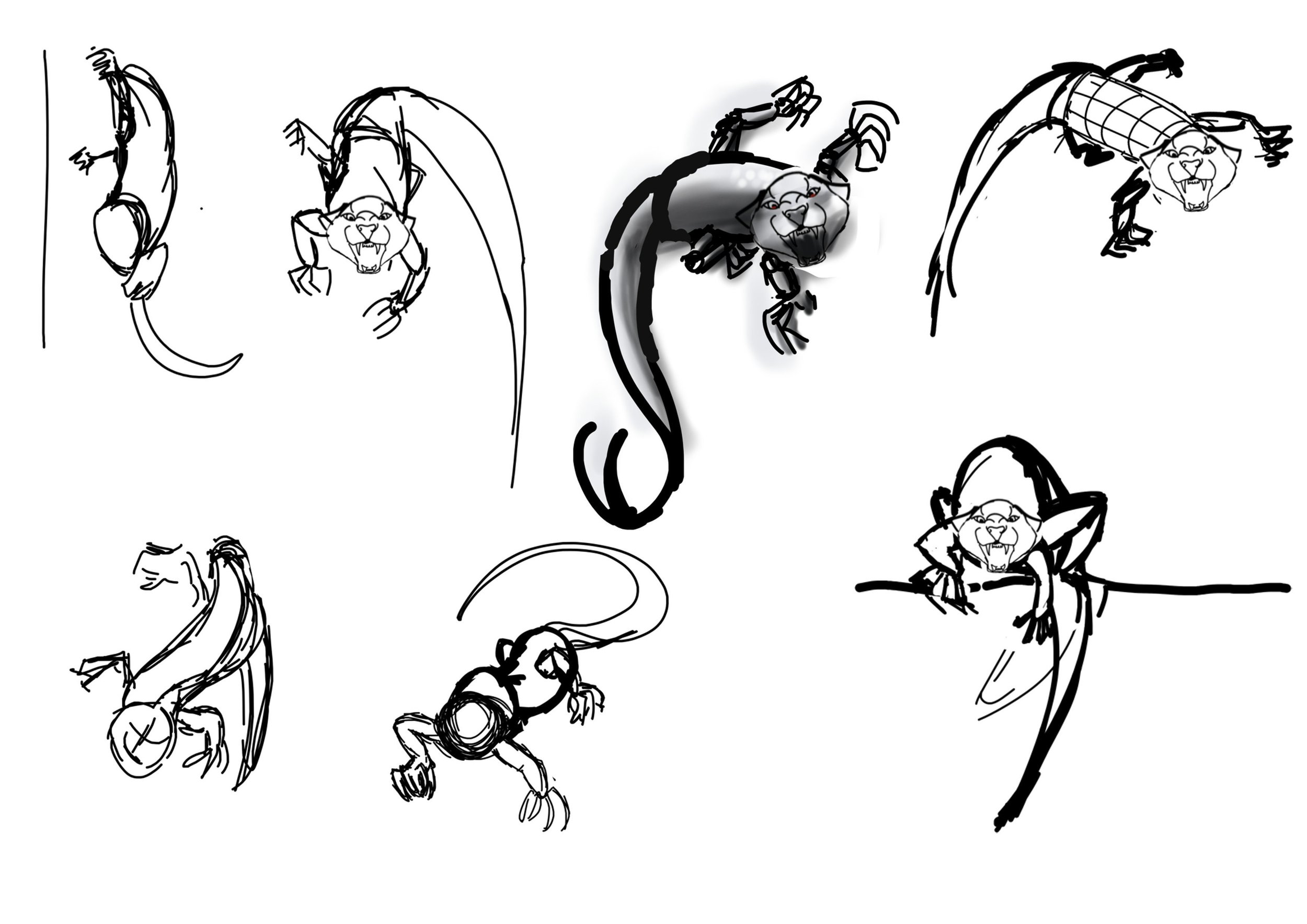 Vignettes fauvard.jpg