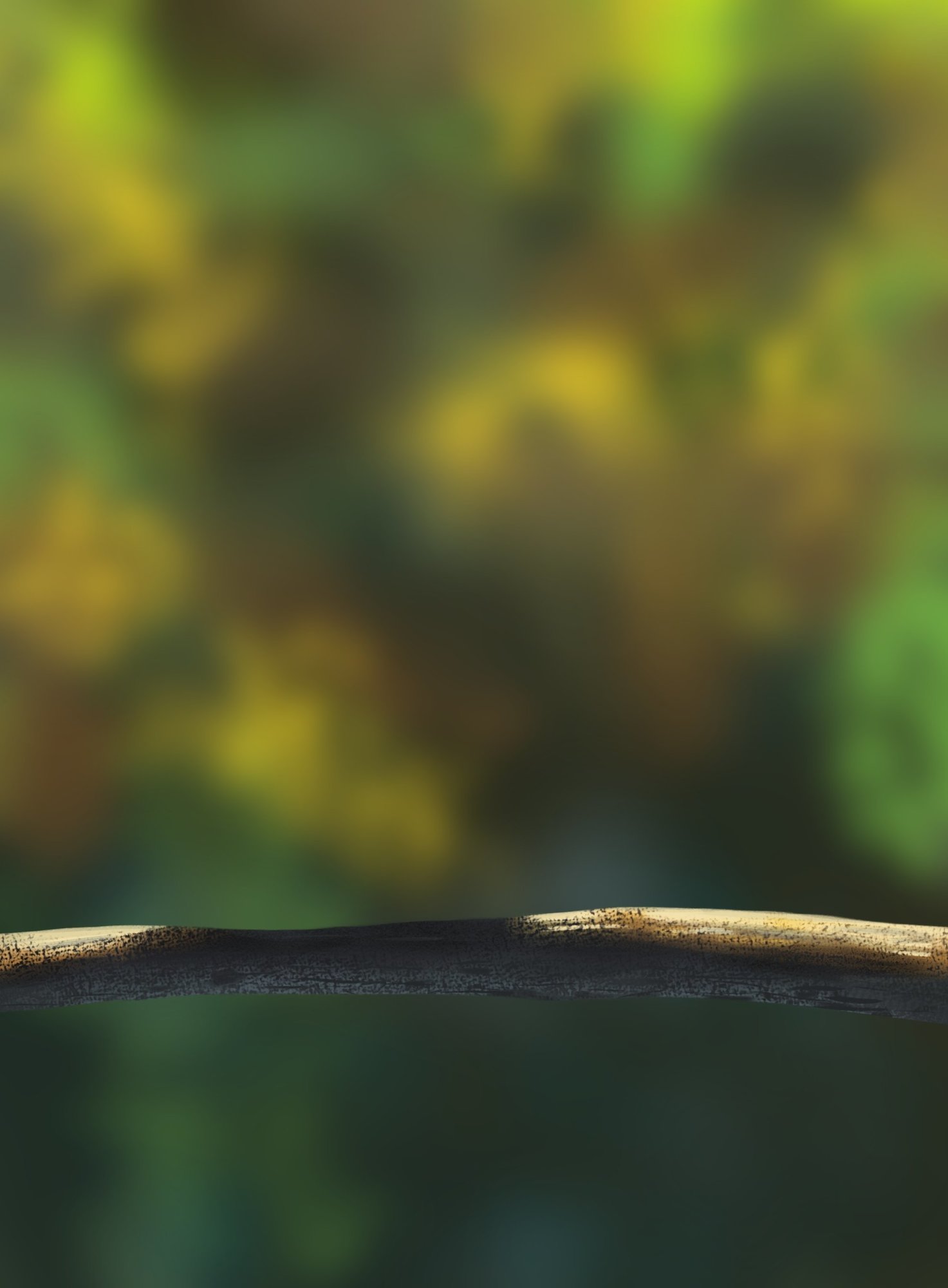 Oisillons partie 1.jpg