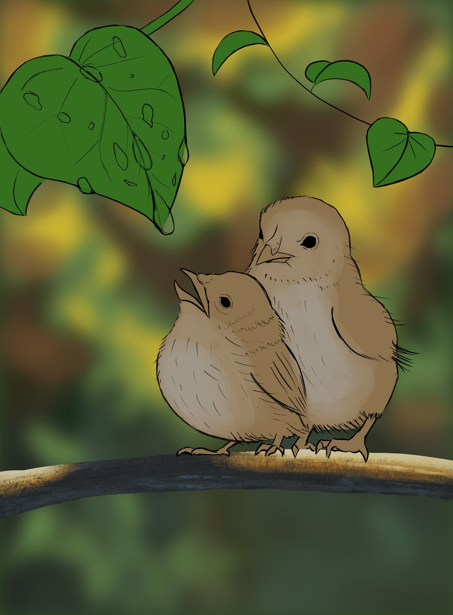 exercice6 oisillons.jpg