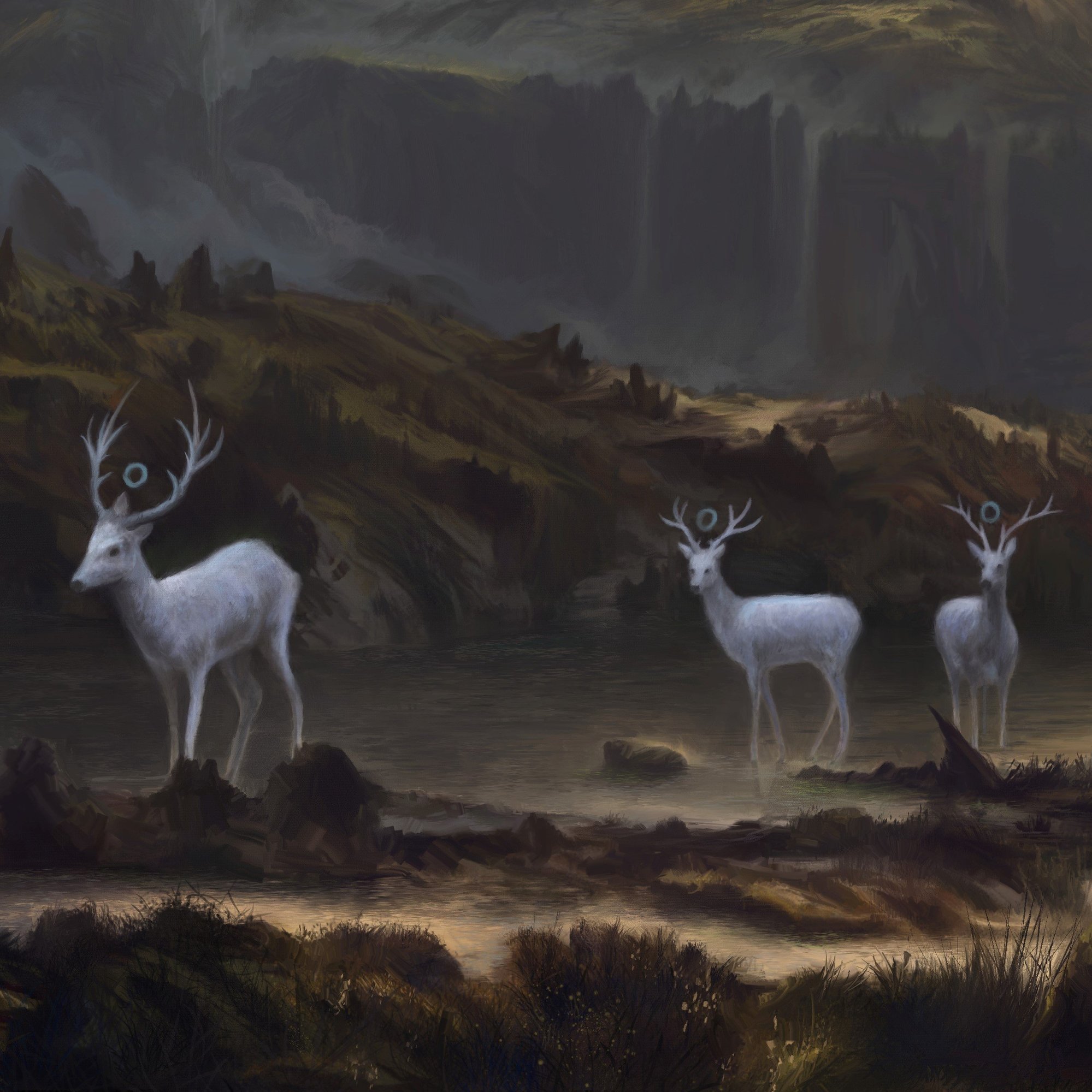 Paysage gd1-2 (2).jpg