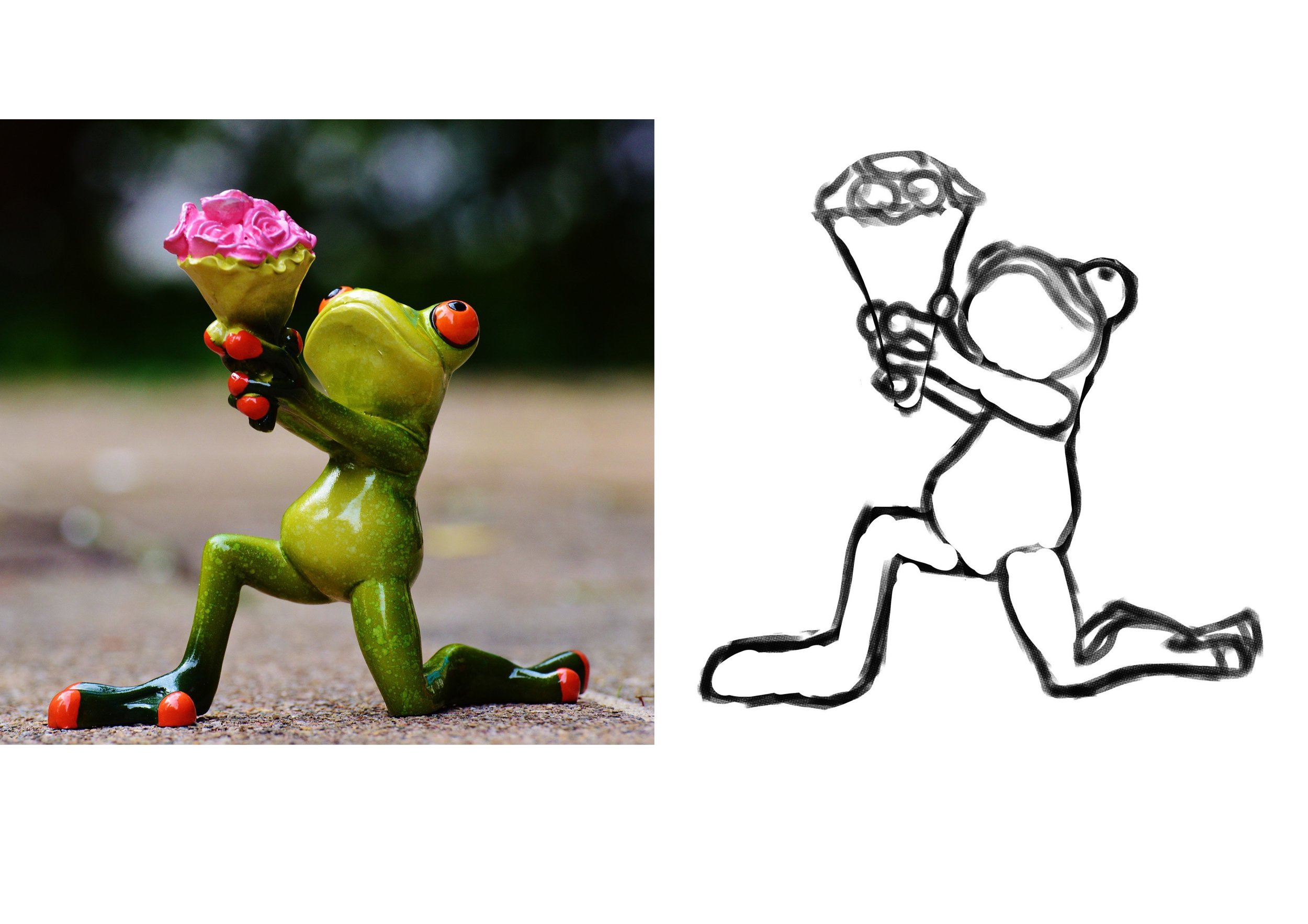 exercice 5 grenouille 1.jpg