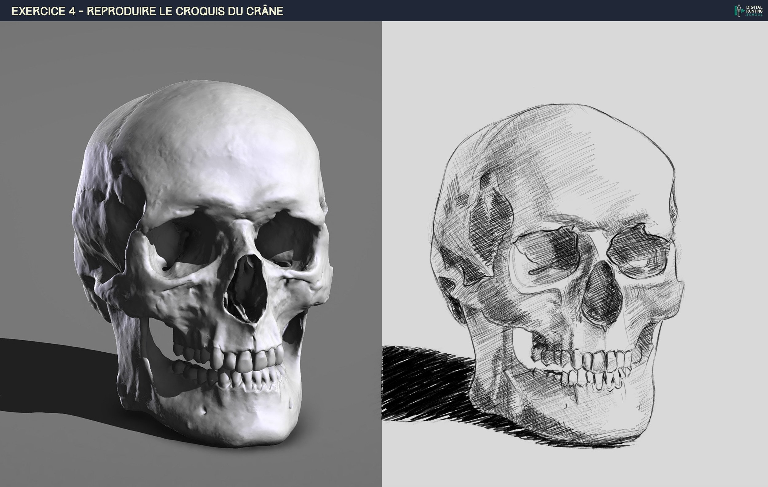 cexercice 4 crane corrigé.jpg