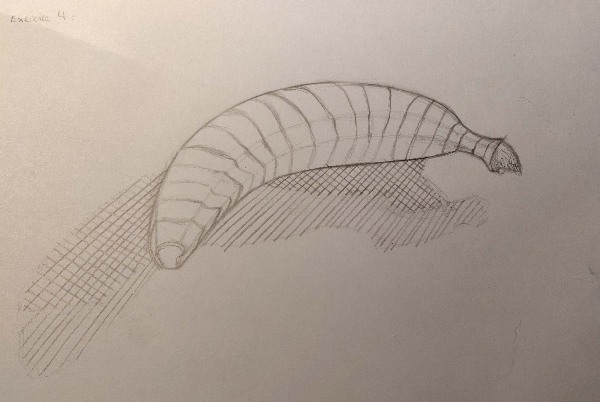 IMG_20220409_103951 copie.jpg