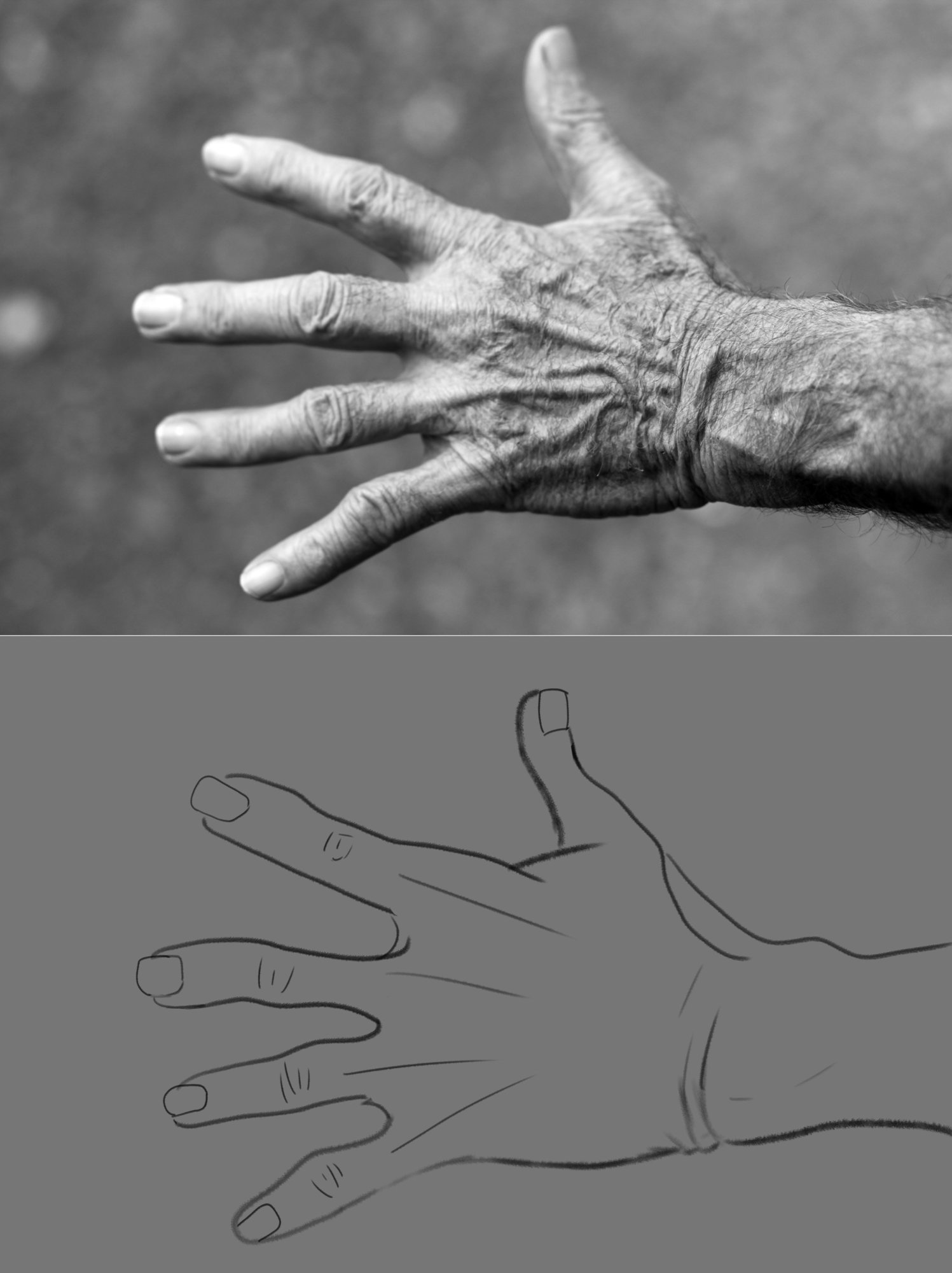 hand-elderly-woman-wrinkles-black-and-white-54321.jpg