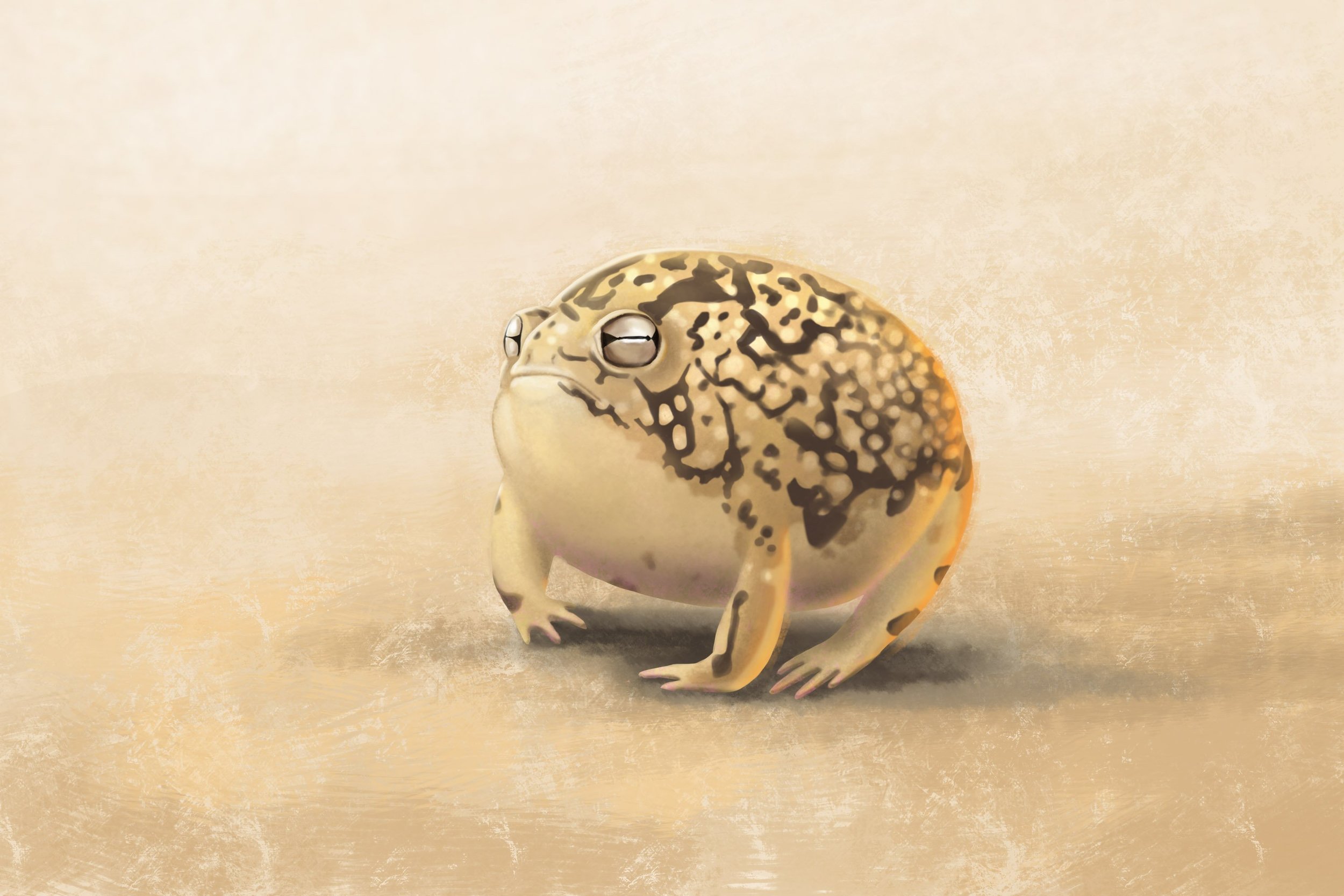 petitmontre 2 corrigé.jpg