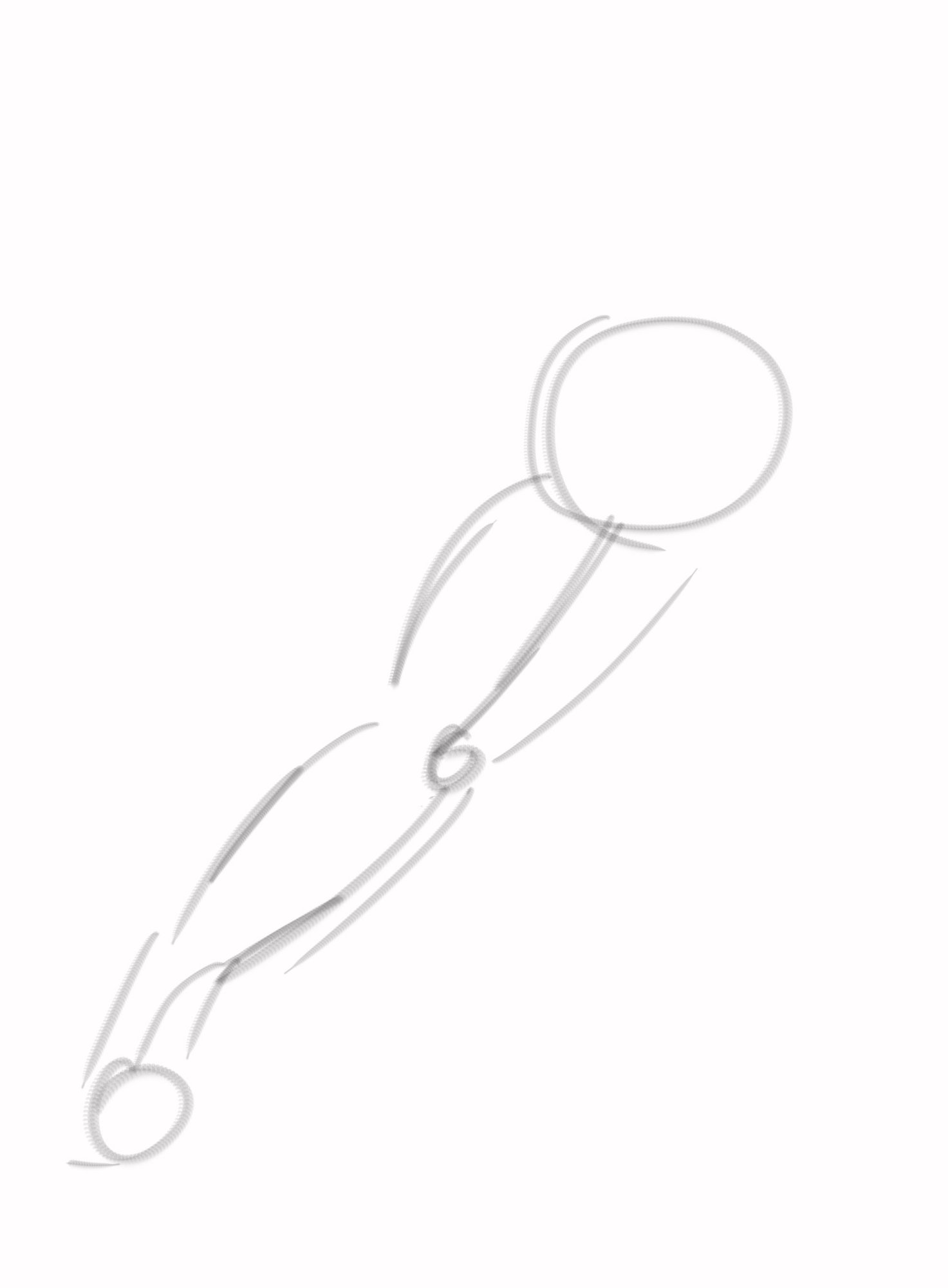 bras test copie1.jpg