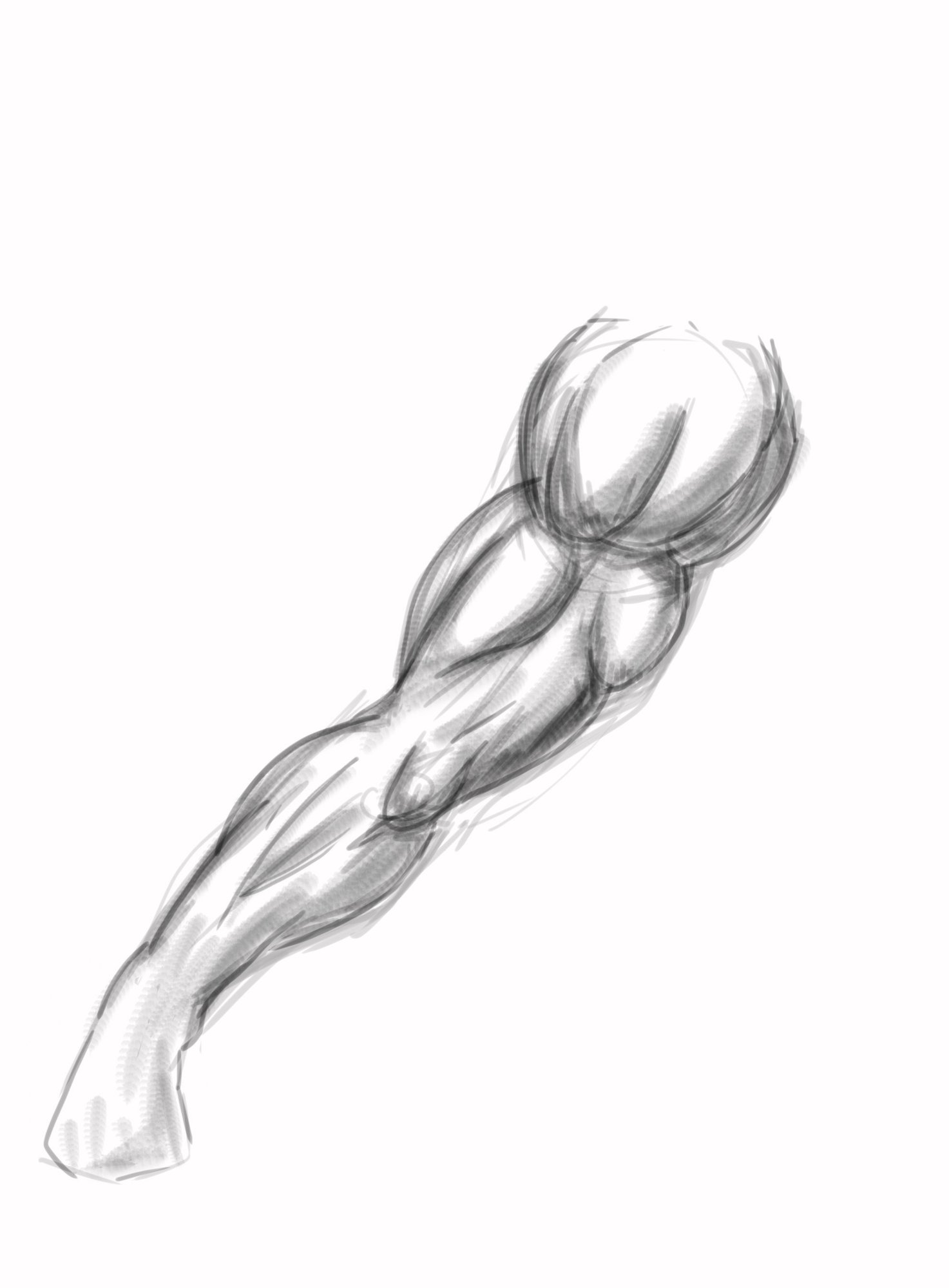 bras test copie2.jpg