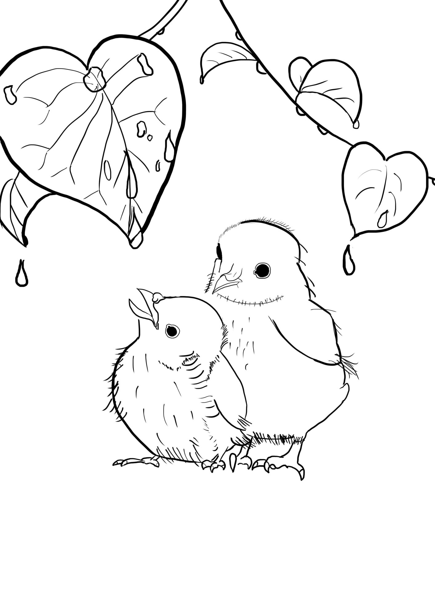 croquis oisillon.jpg