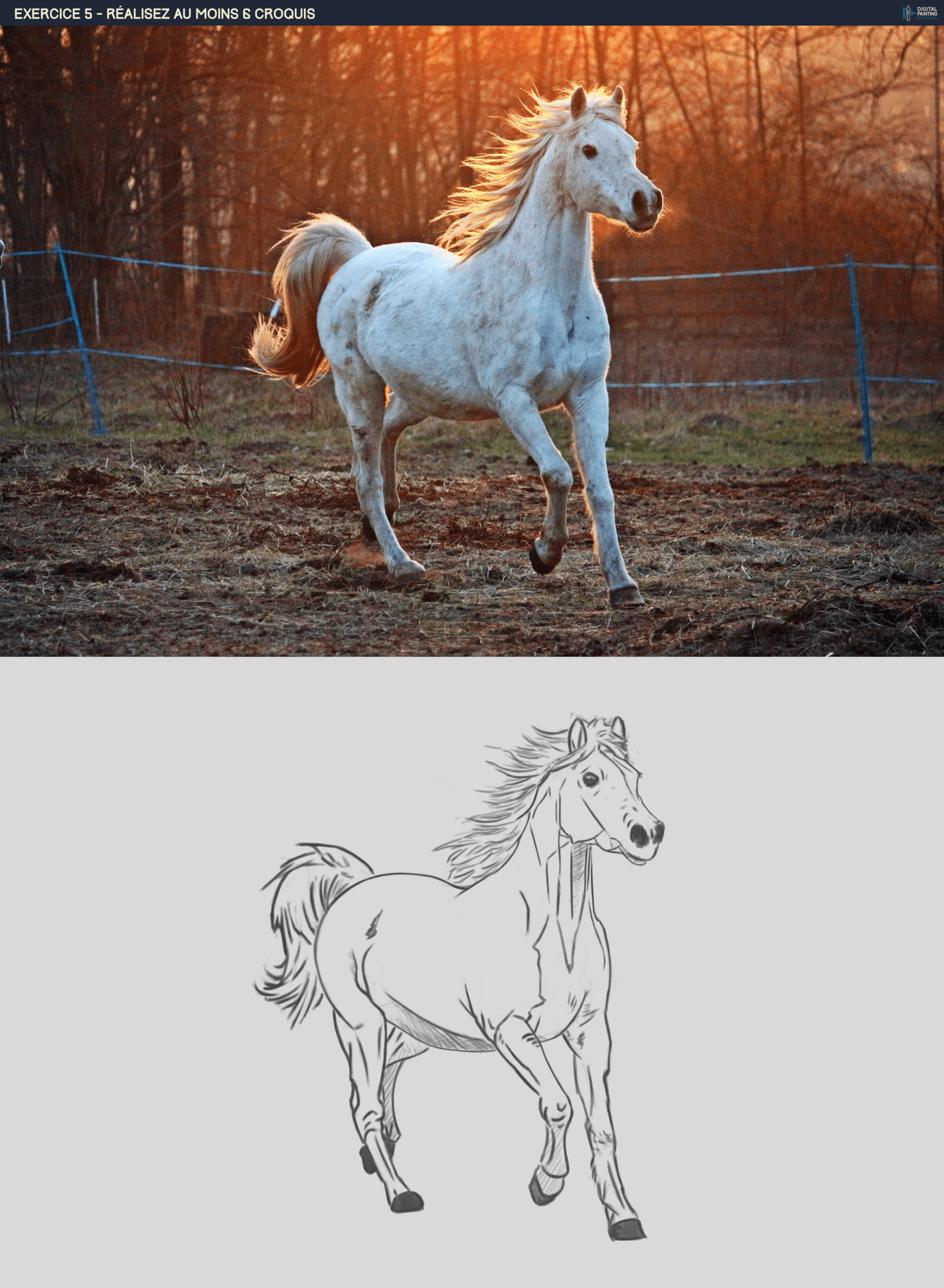 161102865_5-Animaux-Horse-min.thumb.png.a67877a08f8388aa29ed2265e07abfe5.png