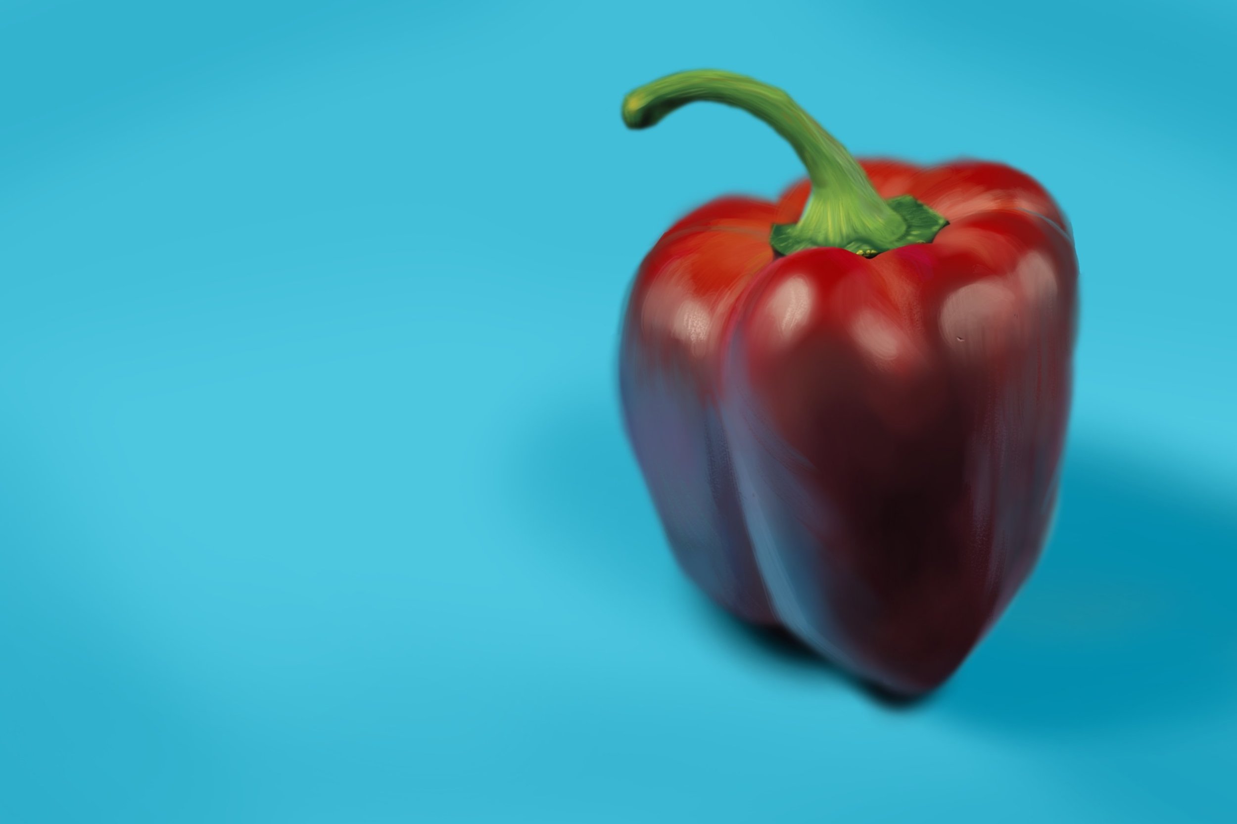 Etude-photo1 30052022.jpg