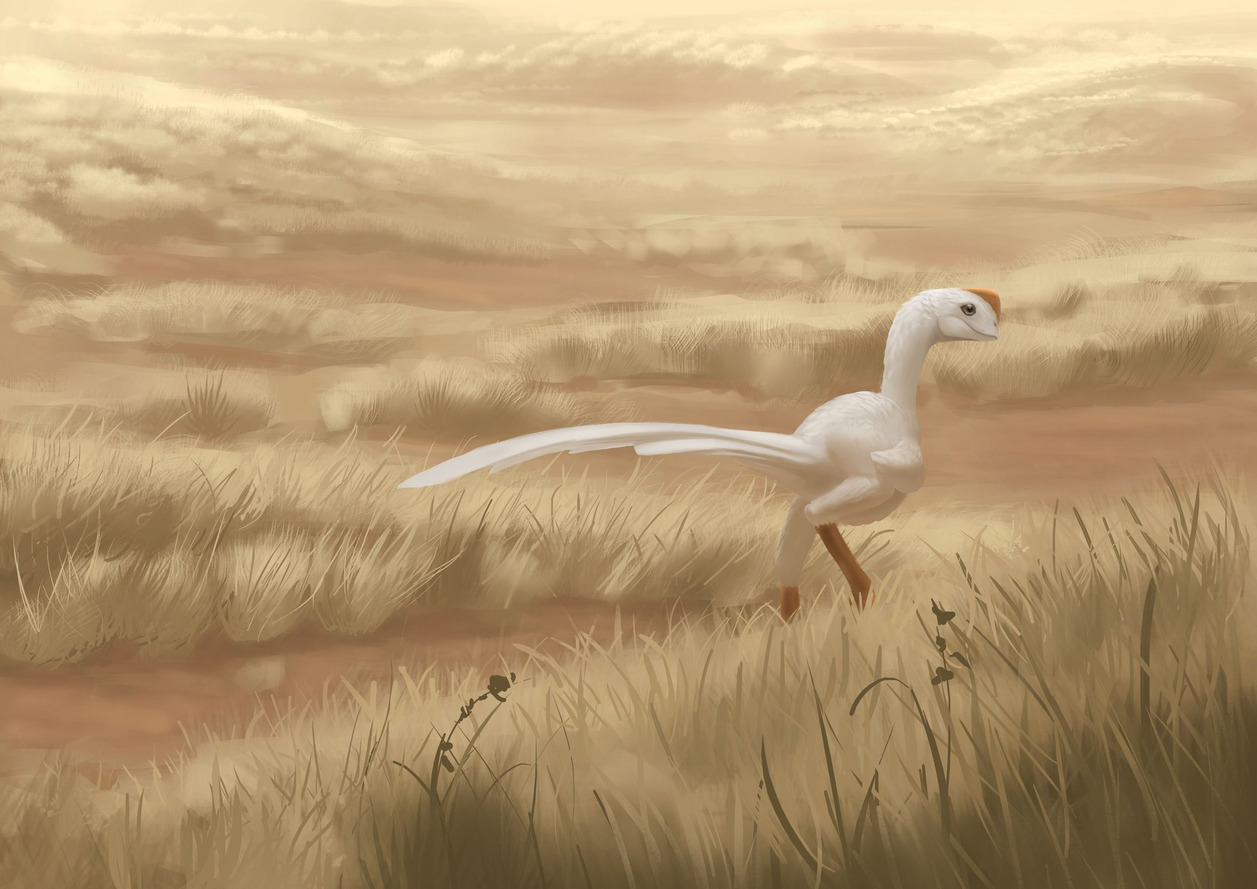 monstre d'animation.jpg