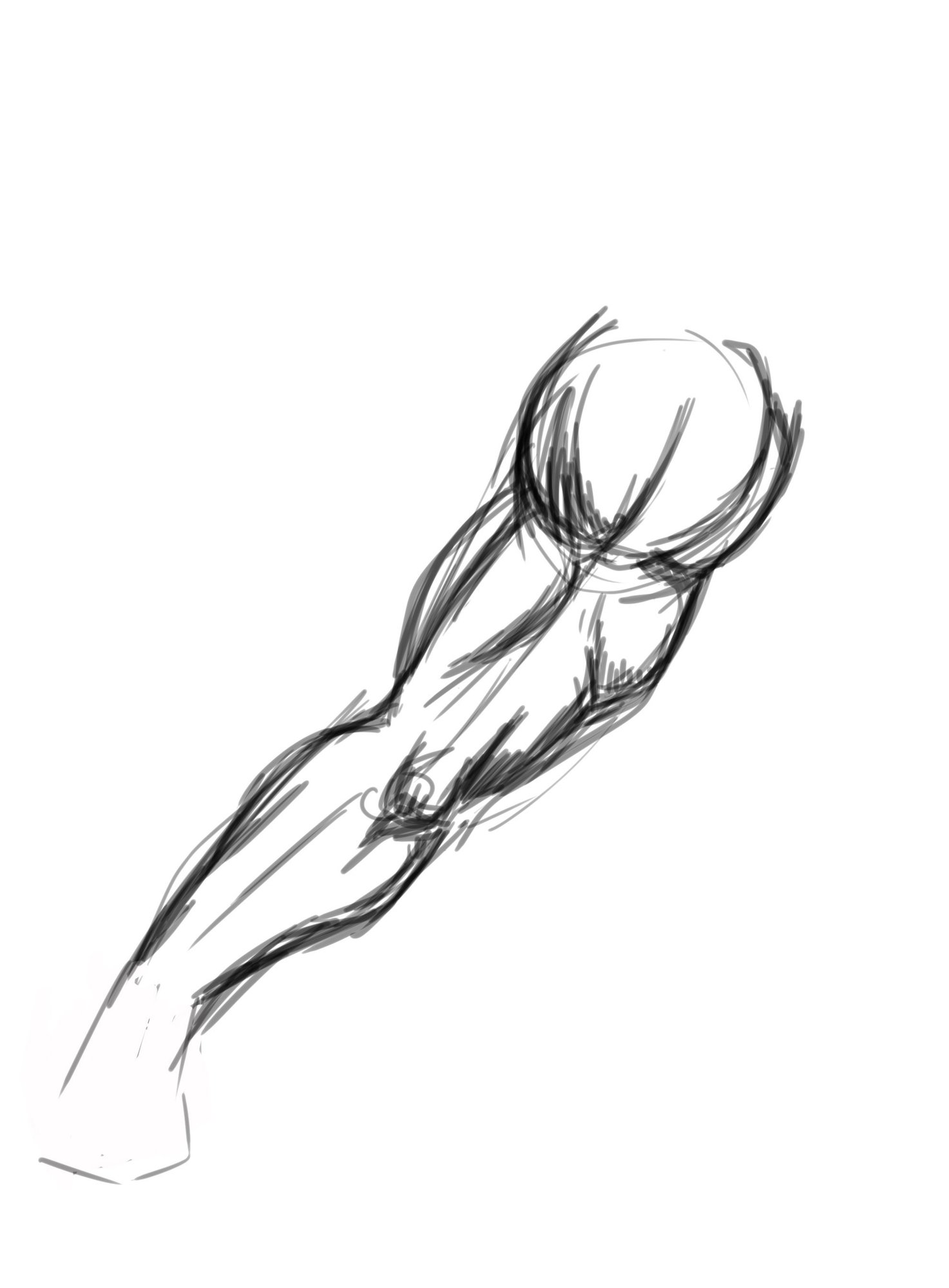 bras test copie0.jpg