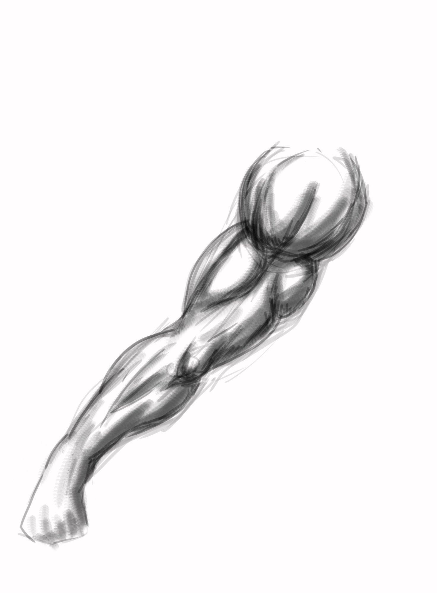 bras test copie3.jpg