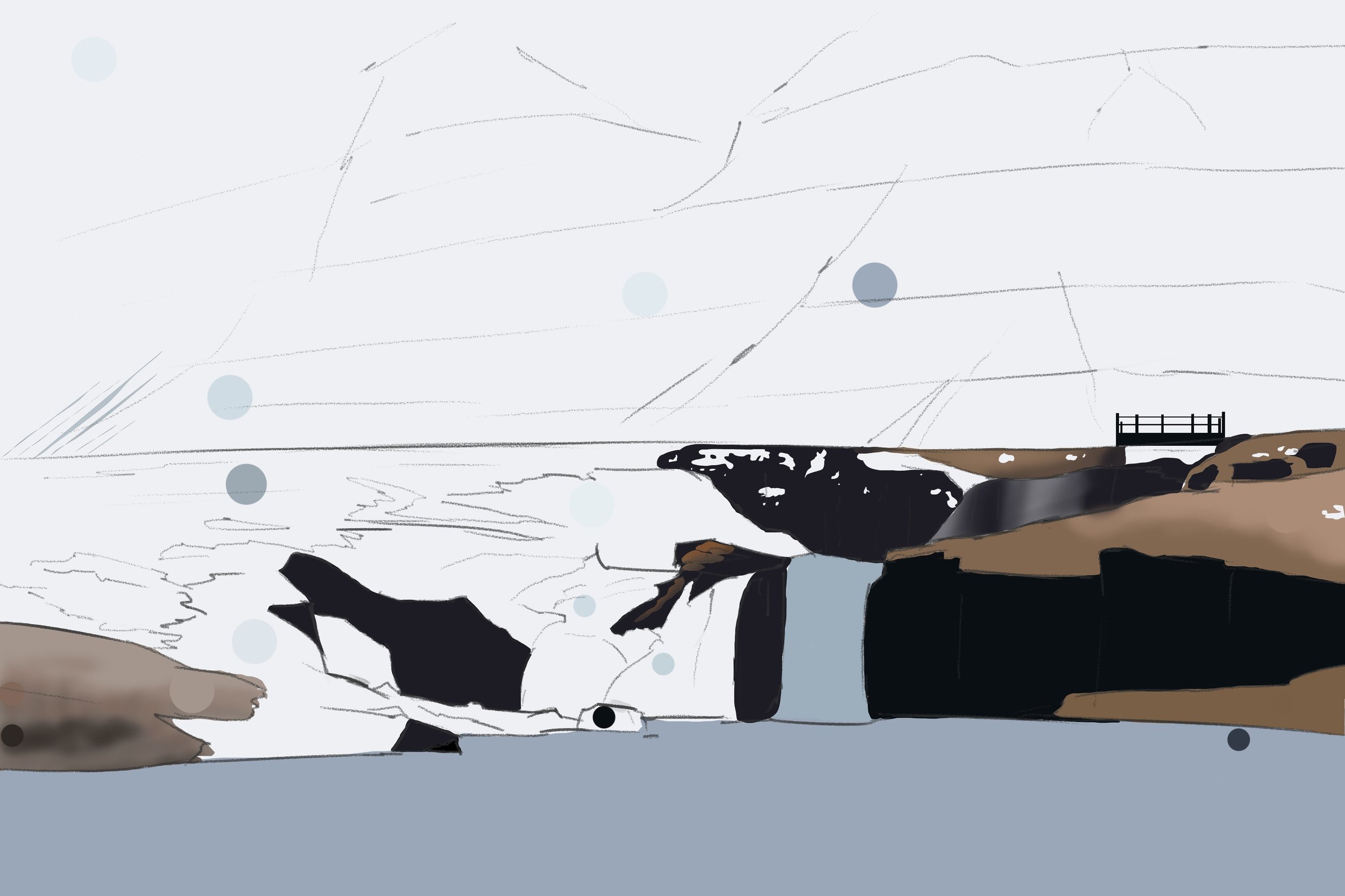 photo_exercice_lasso1 copie.jpg