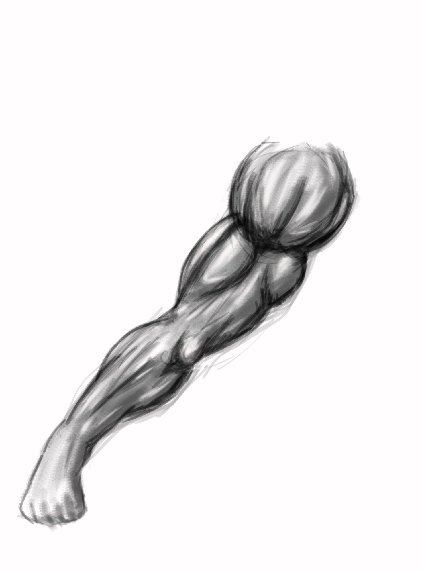 bras test copie5.jpg