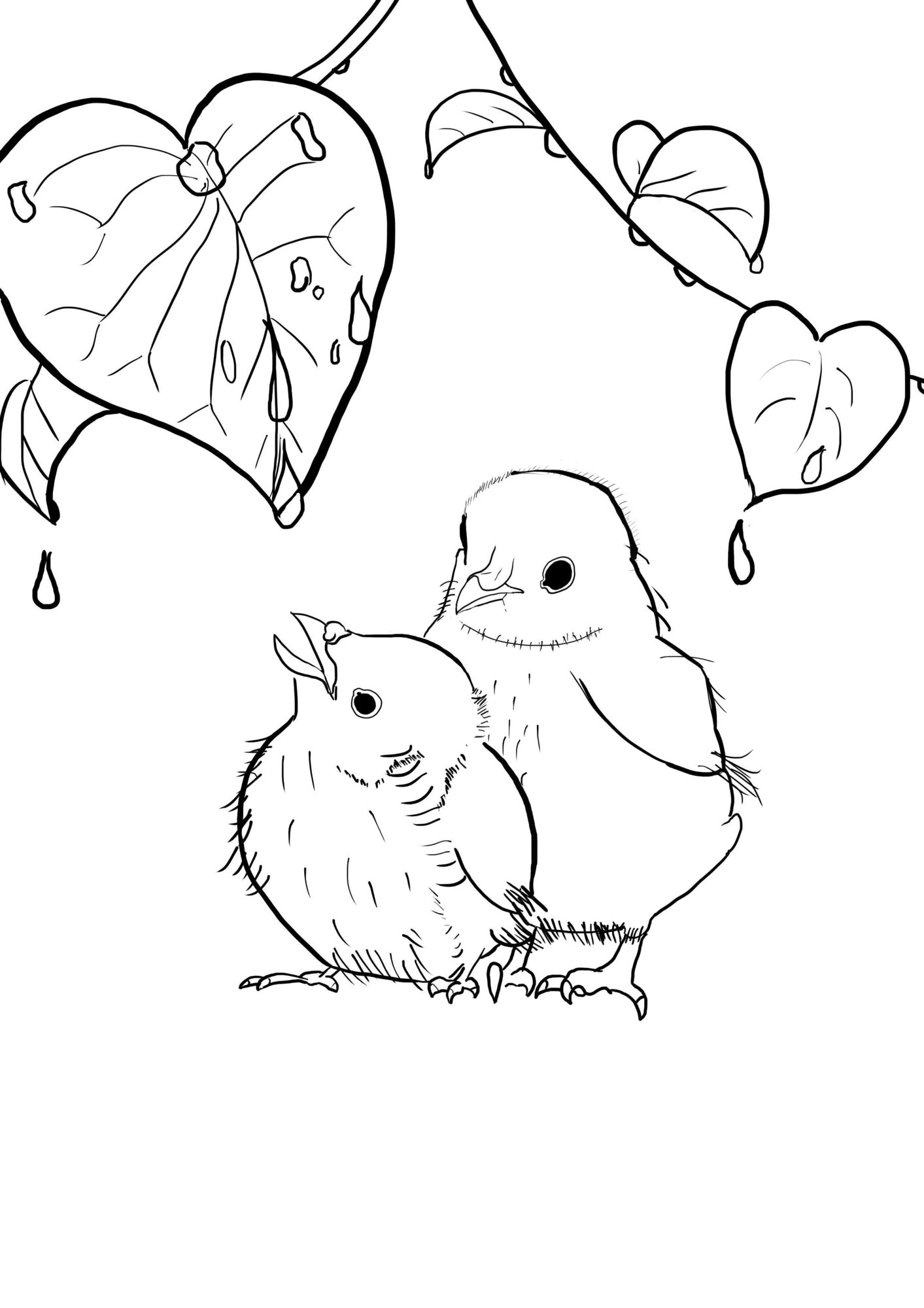 croquis oisillon.jpg