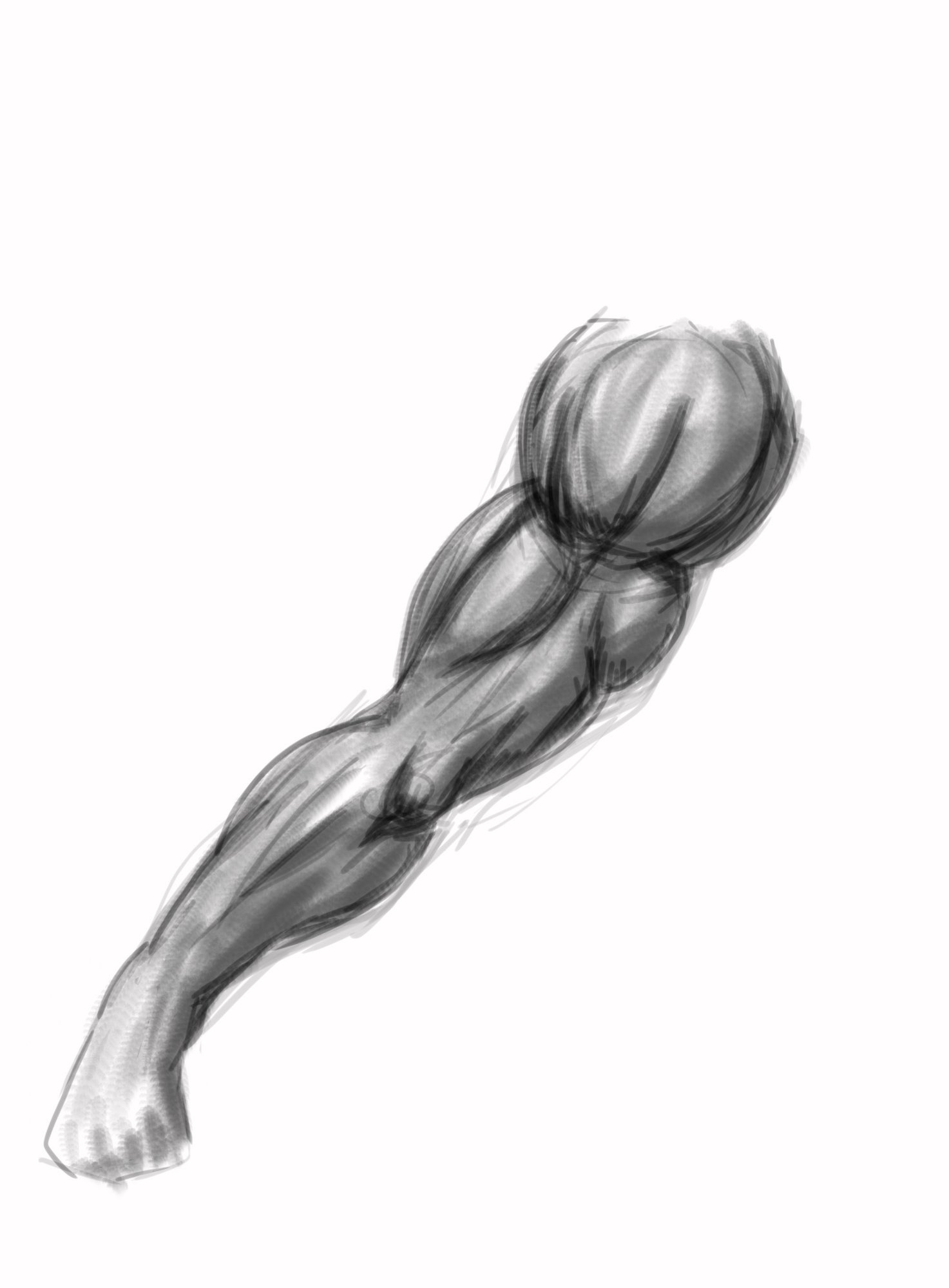 bras test copie4.jpg