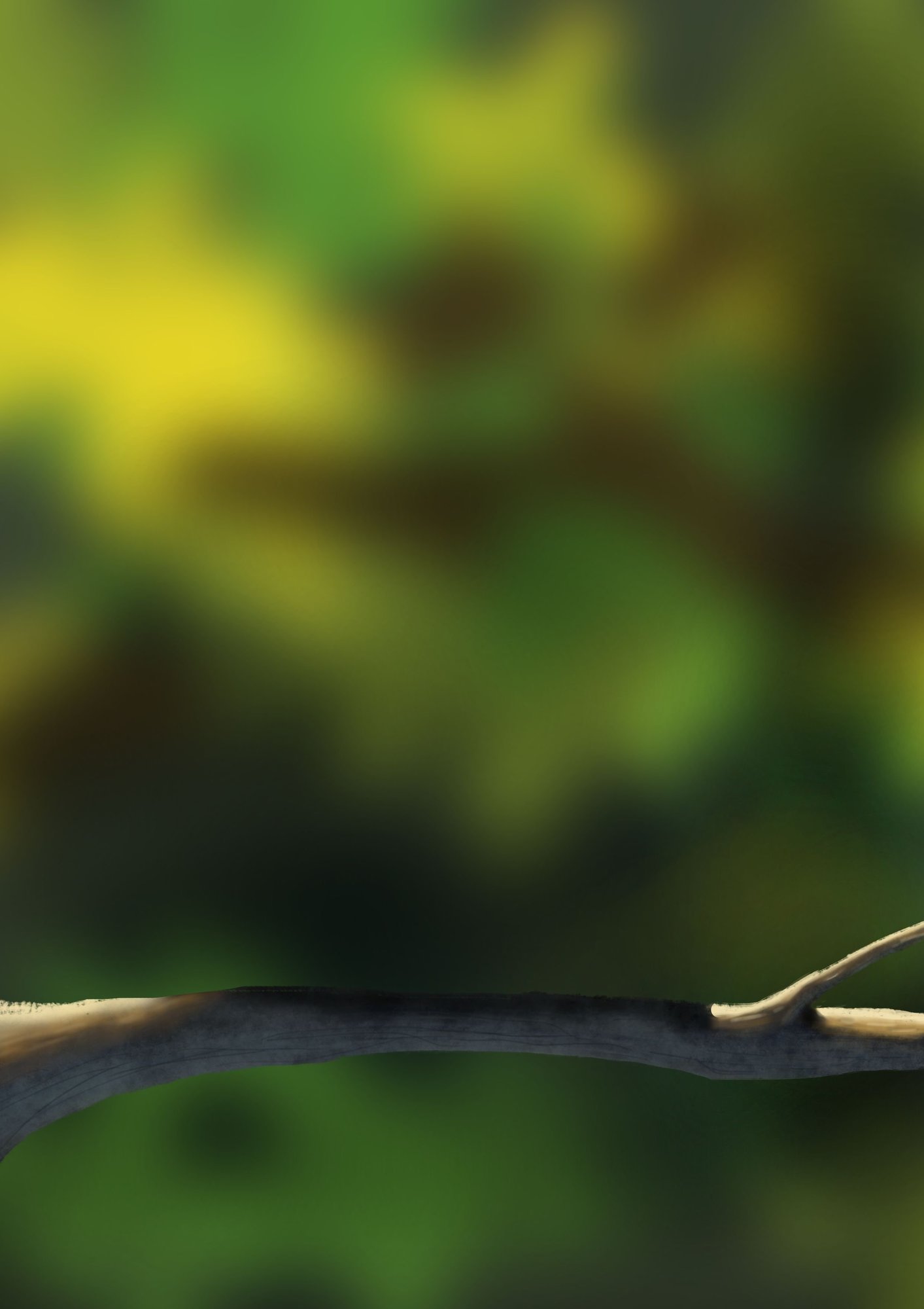 la mise en couleur de loisillon.jpg