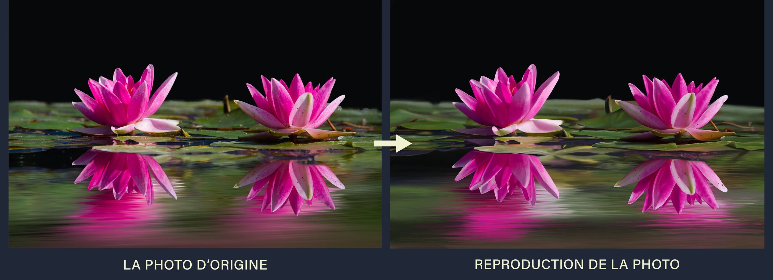 PhotoOrigine_Reproduction.jpg