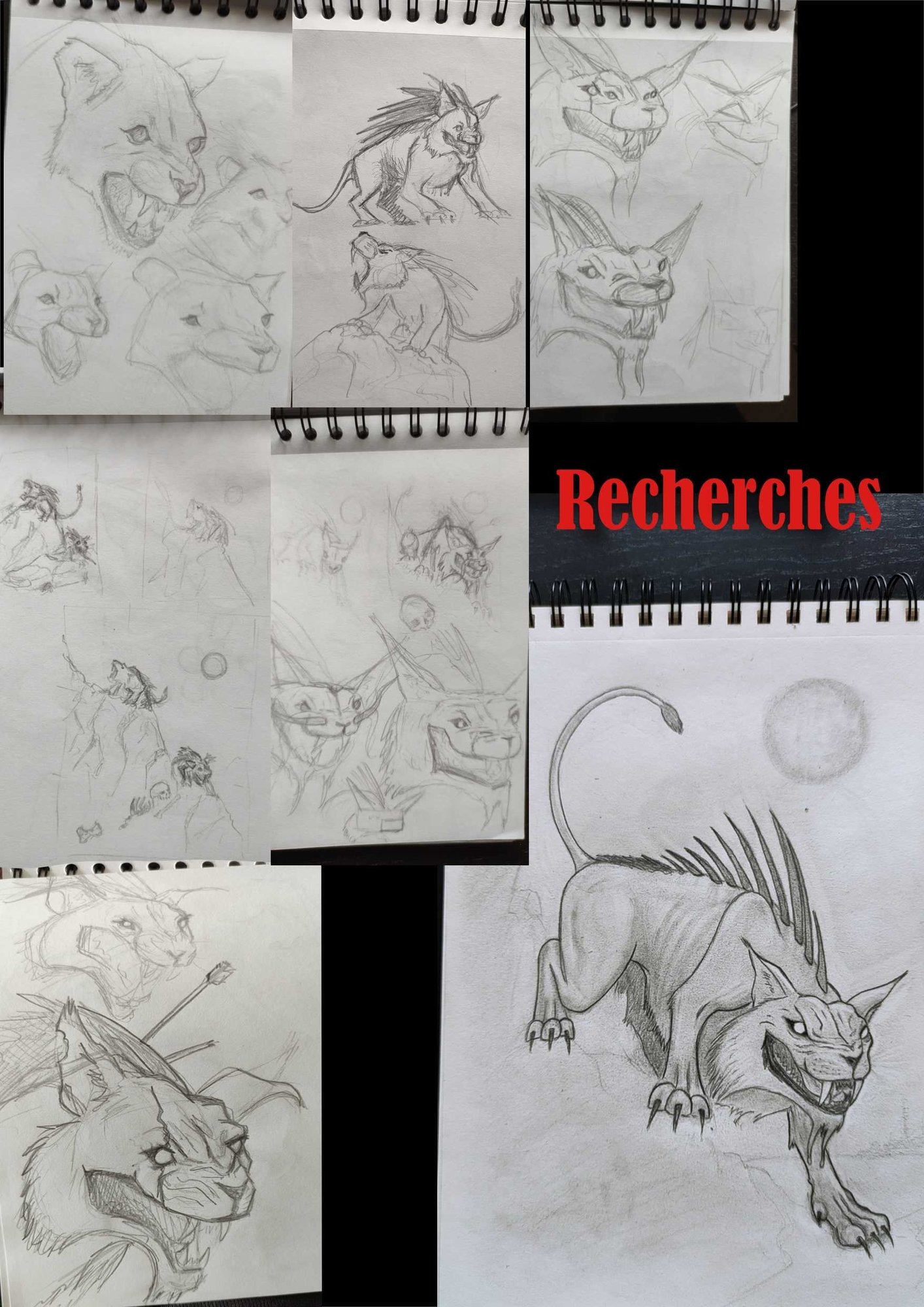 Recherches.jpg