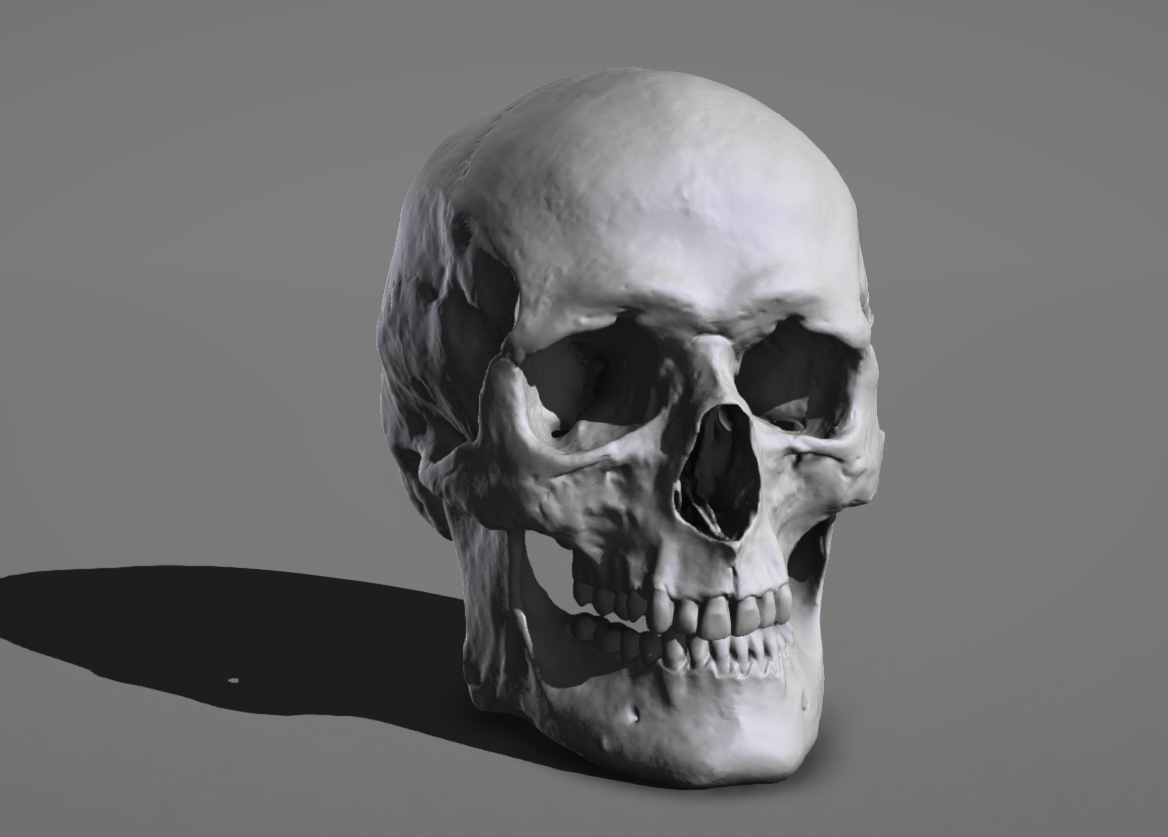 Skull3.png.ae242a9d037a8c37c2d3c171b18b2f34.png
