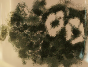 image.png.29e2da80109e0908ec37c909a4057afa.png