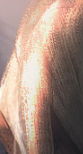 image.png.67cac68f069843078bec0d8c8672d58b.png