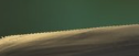 image.png.71a622f0cd1519d5e3d3b467615e89fd.png