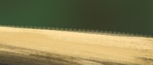 image.png.9dd0f1ae1e9df9e530cfc2a0855976b7.png