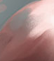 image.png.ae74933d6ba35fb07743aac6d2ade0e6.png